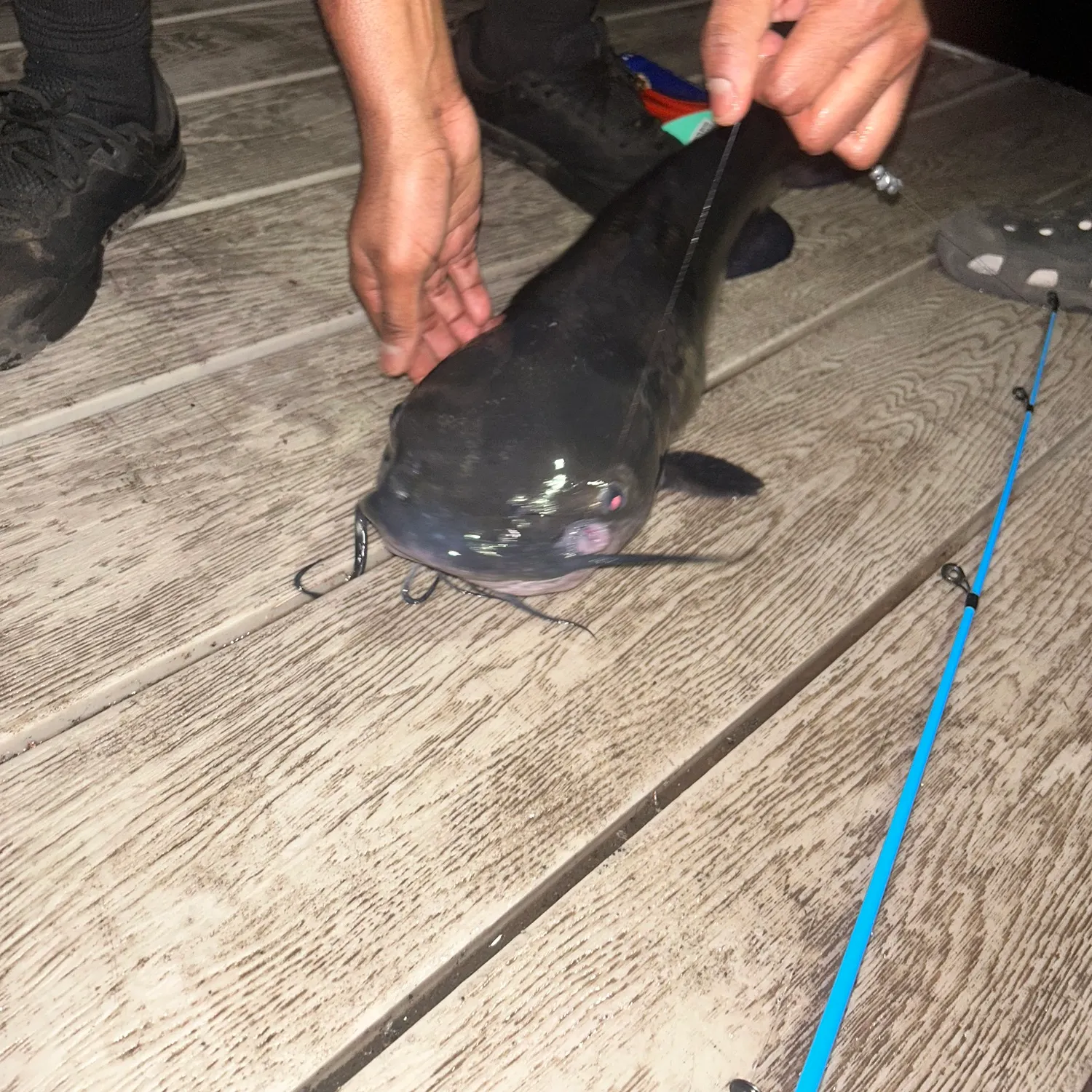 catch