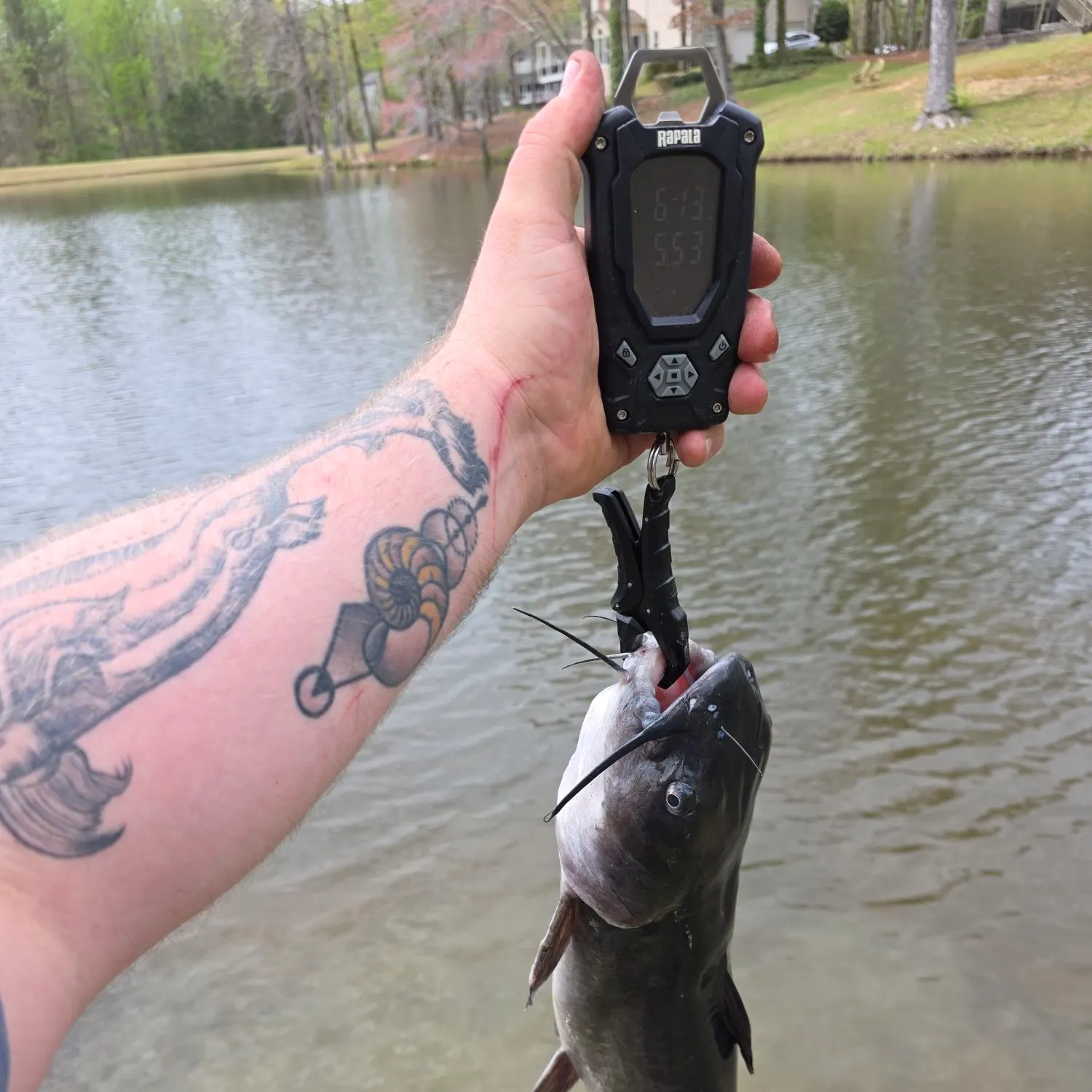 recently logged catches