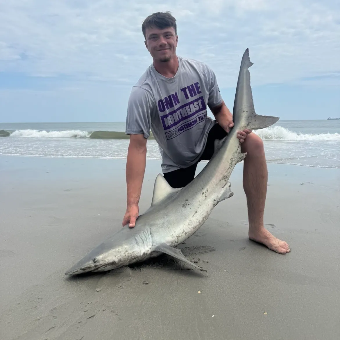 The most recent Finetooth shark catches on Fishbrain