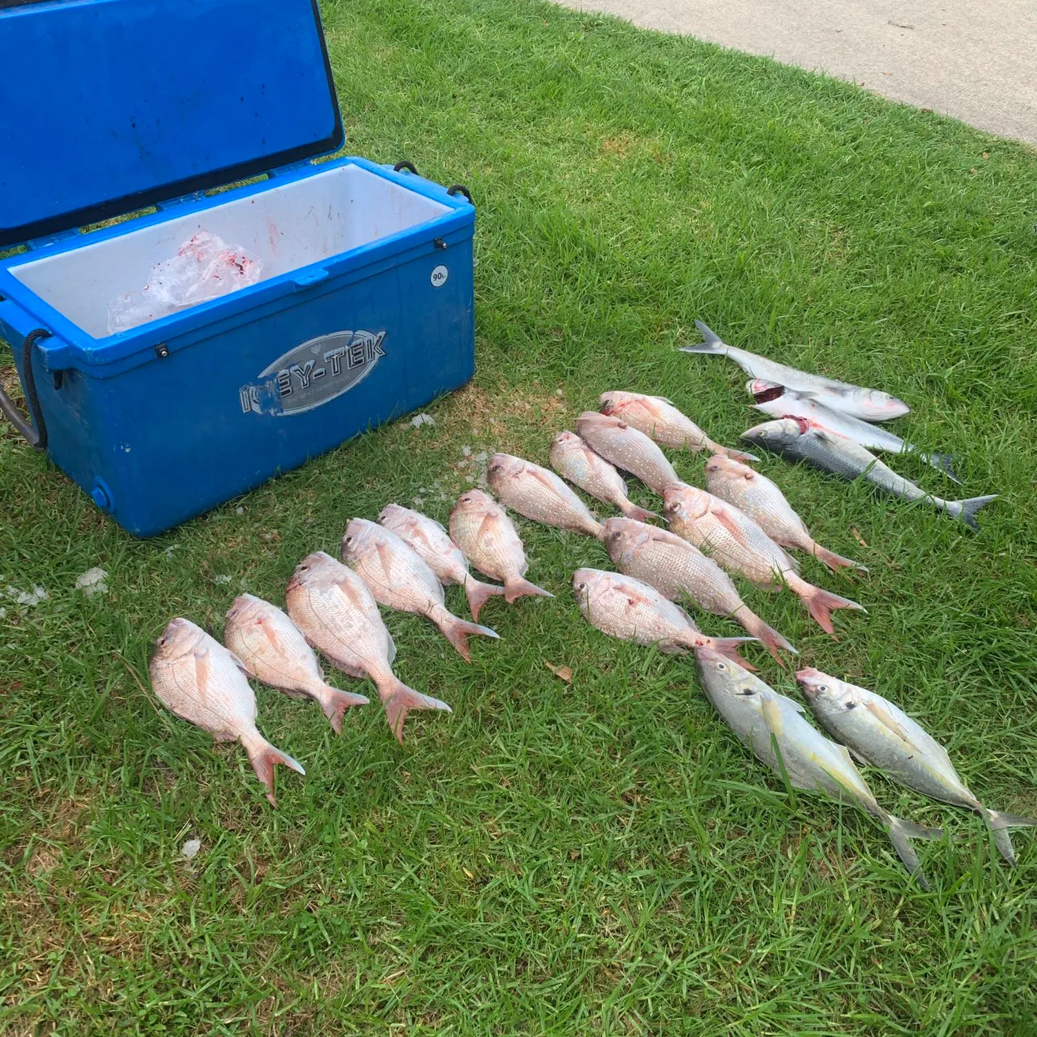 recently logged catches
