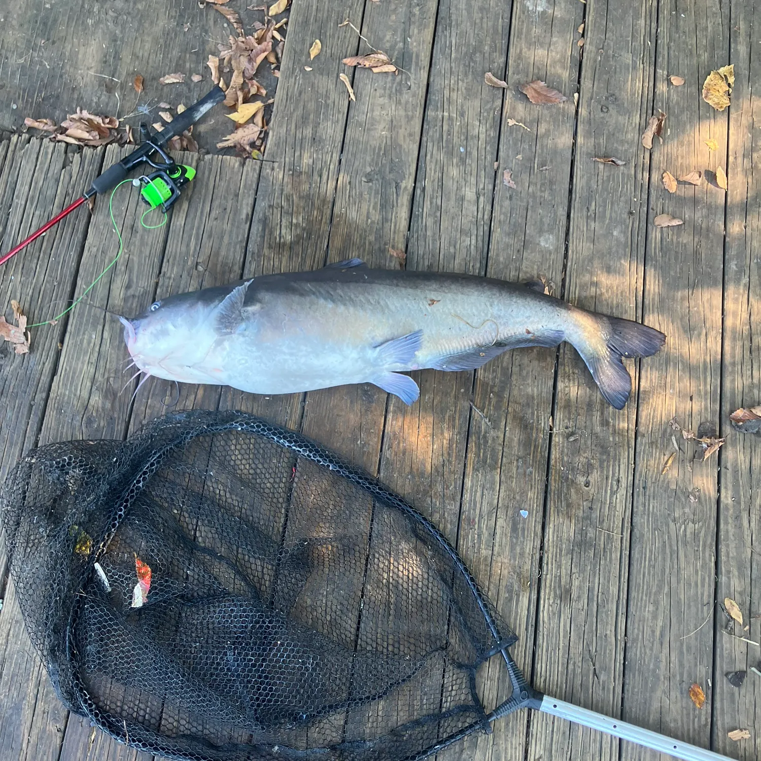 catch