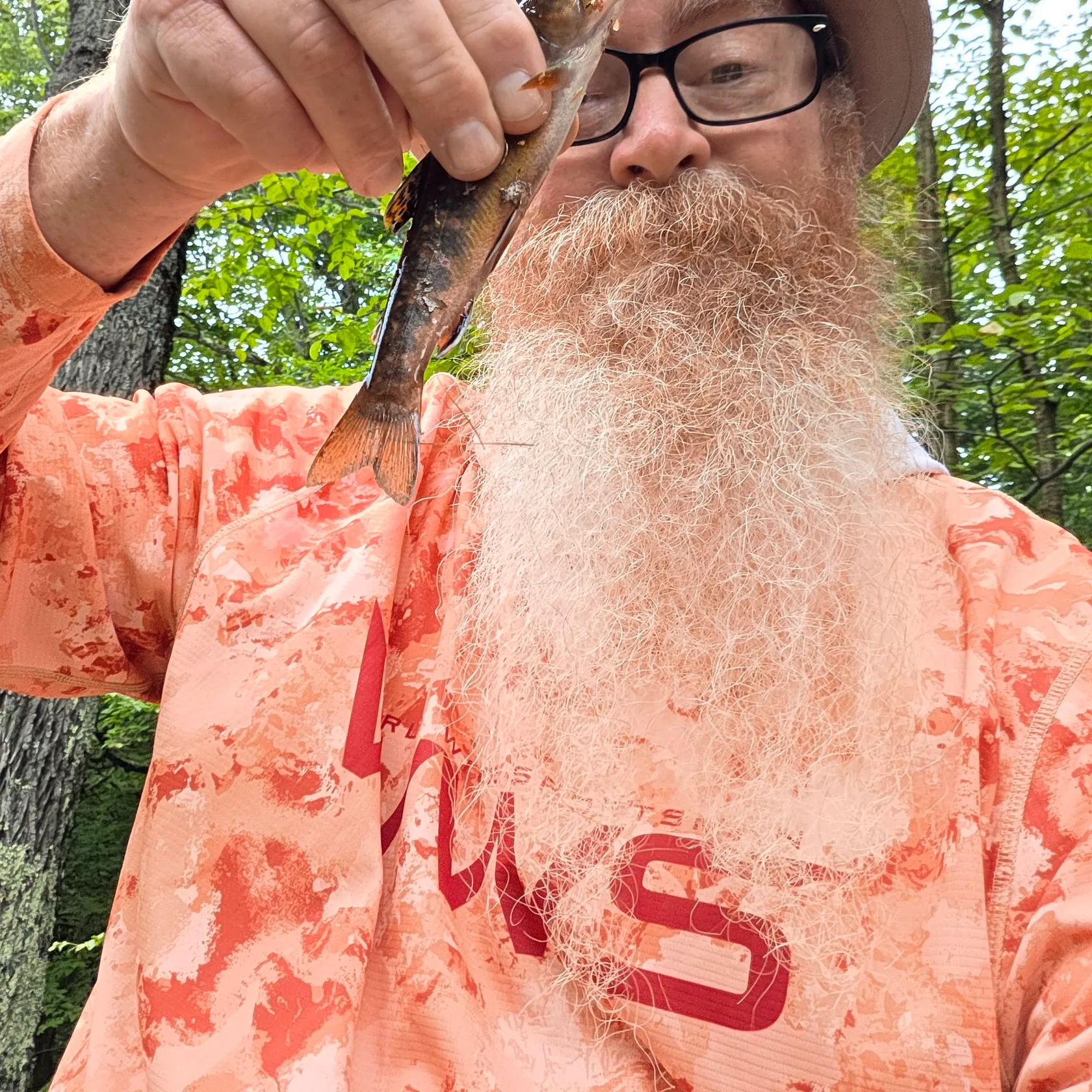 Brook trout caught on Fishbrain
