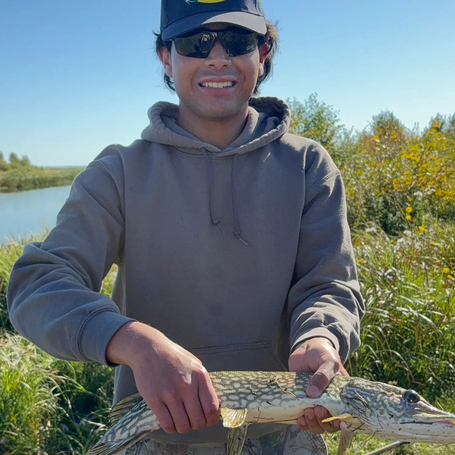 Northern pike caught on Fishbrain