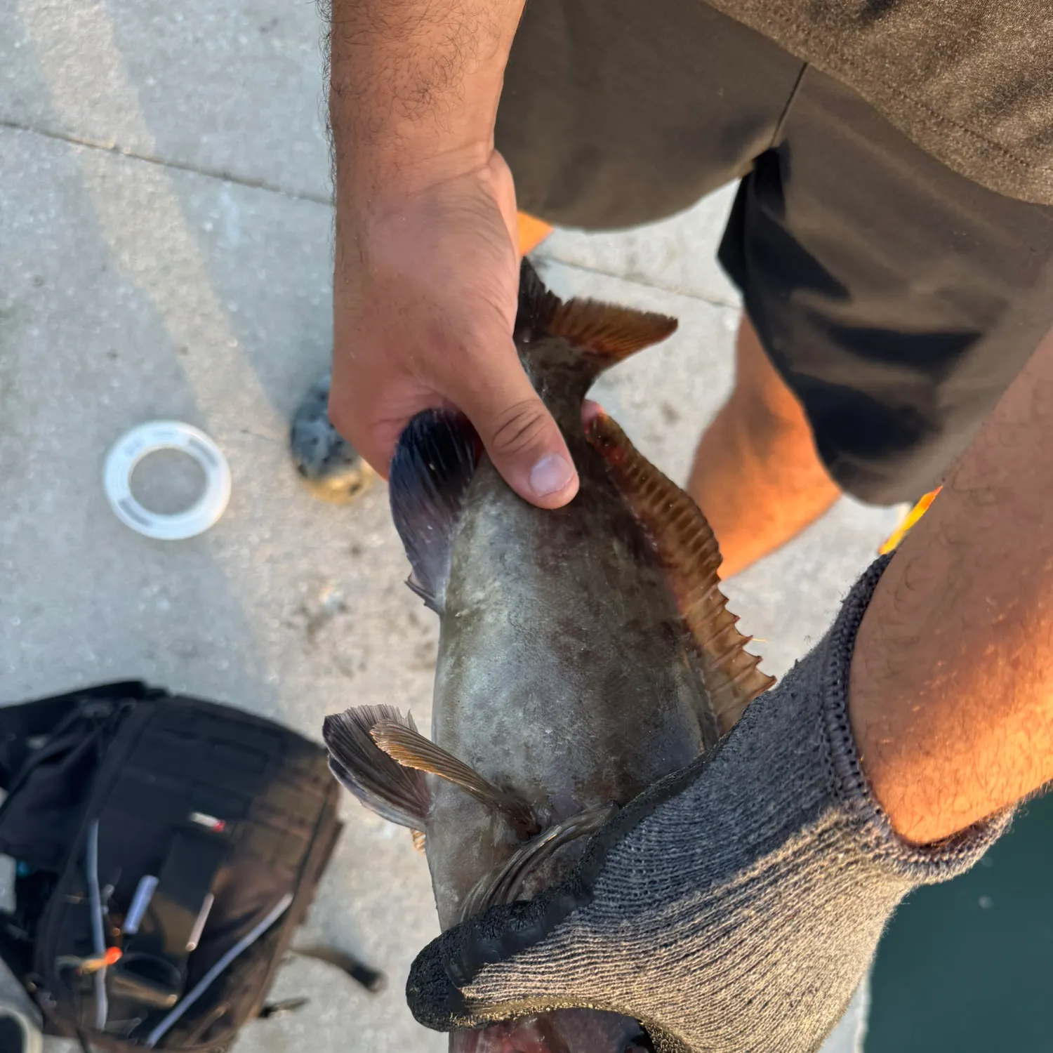 catch