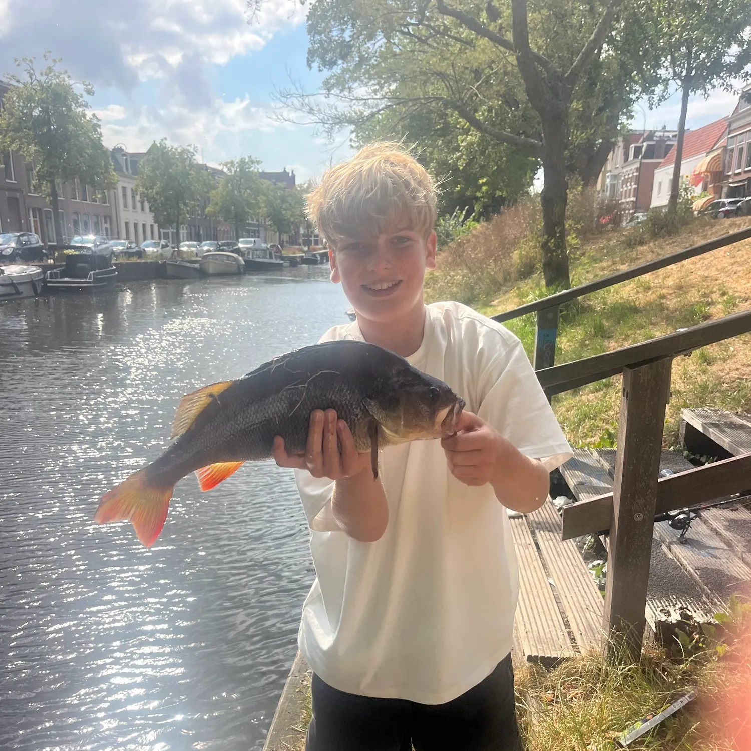 European perch caught on Fishbrain