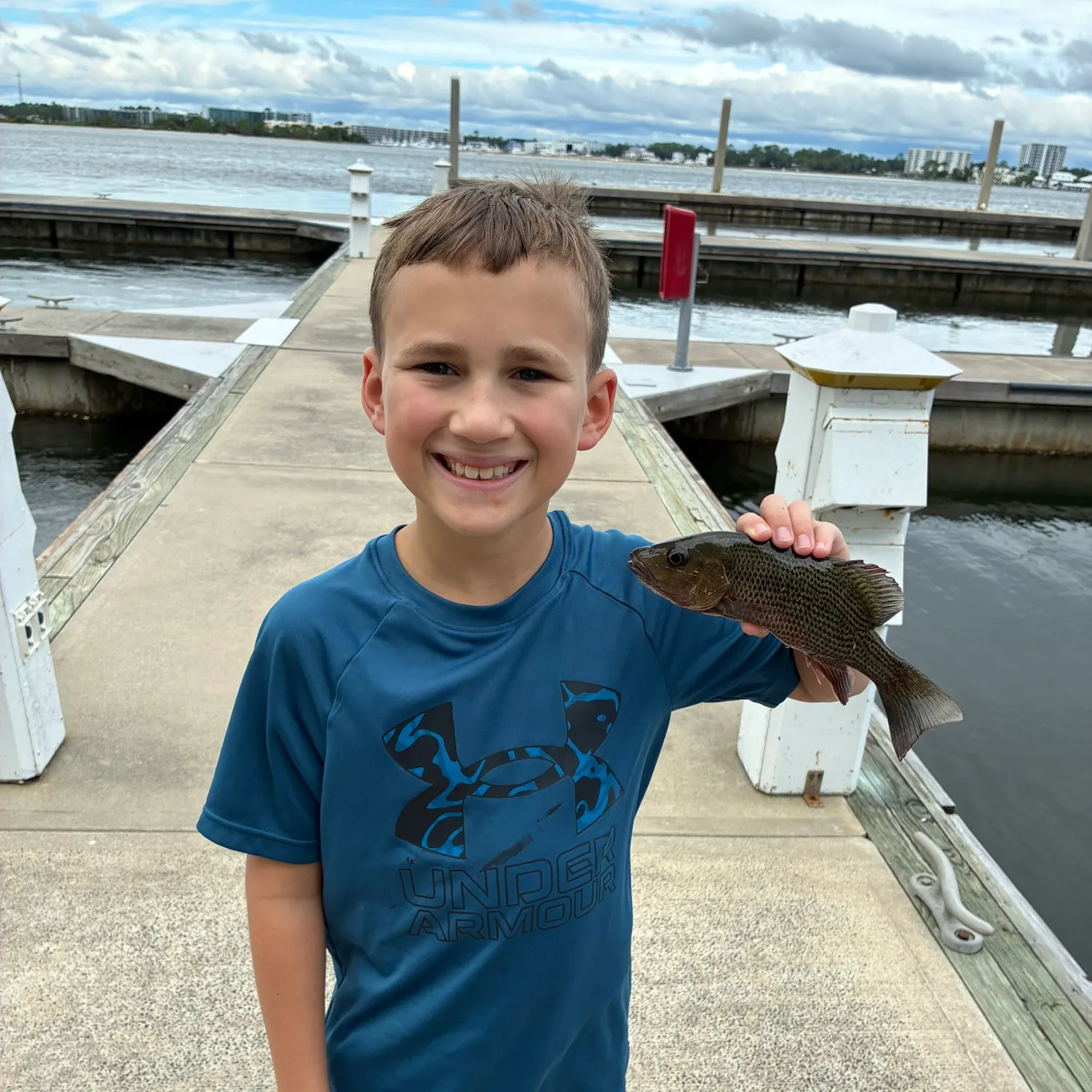 Mangrove snapper caught on Fishbrain