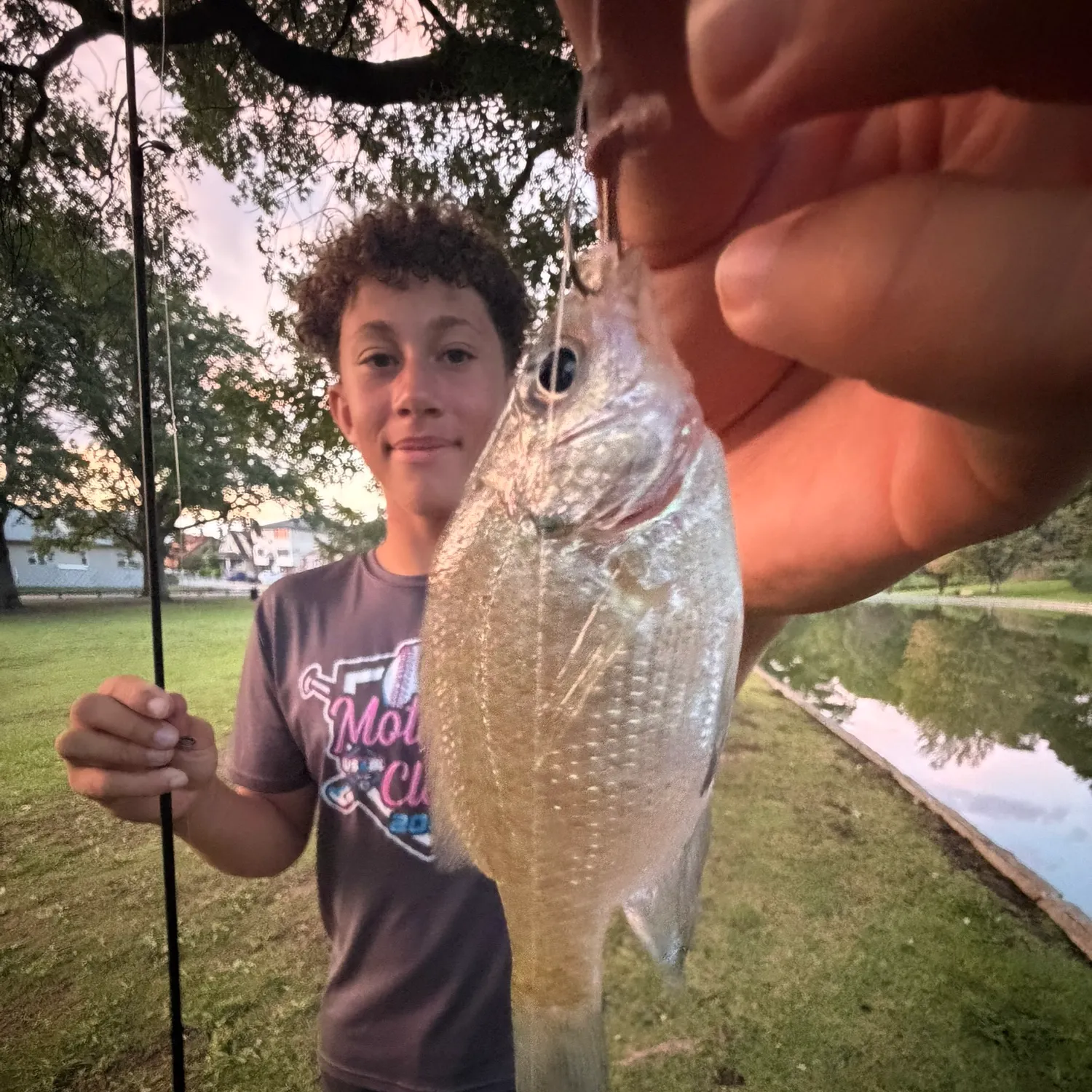 Bluegill caught on Fishbrain
