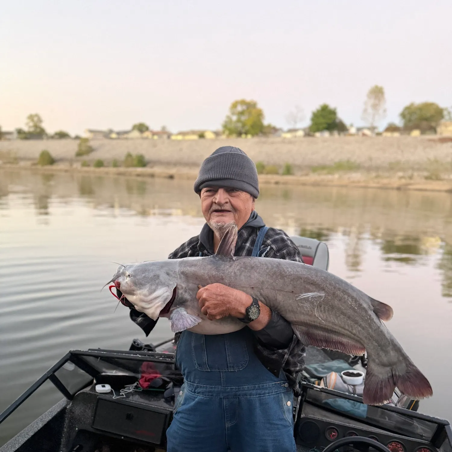Blue catfish caught on Fishbrain