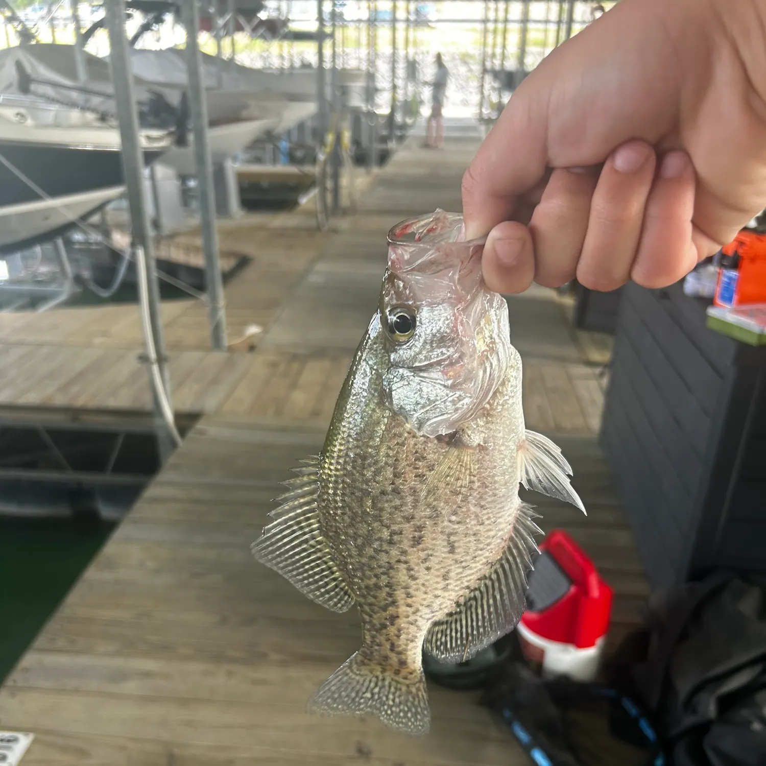 catch