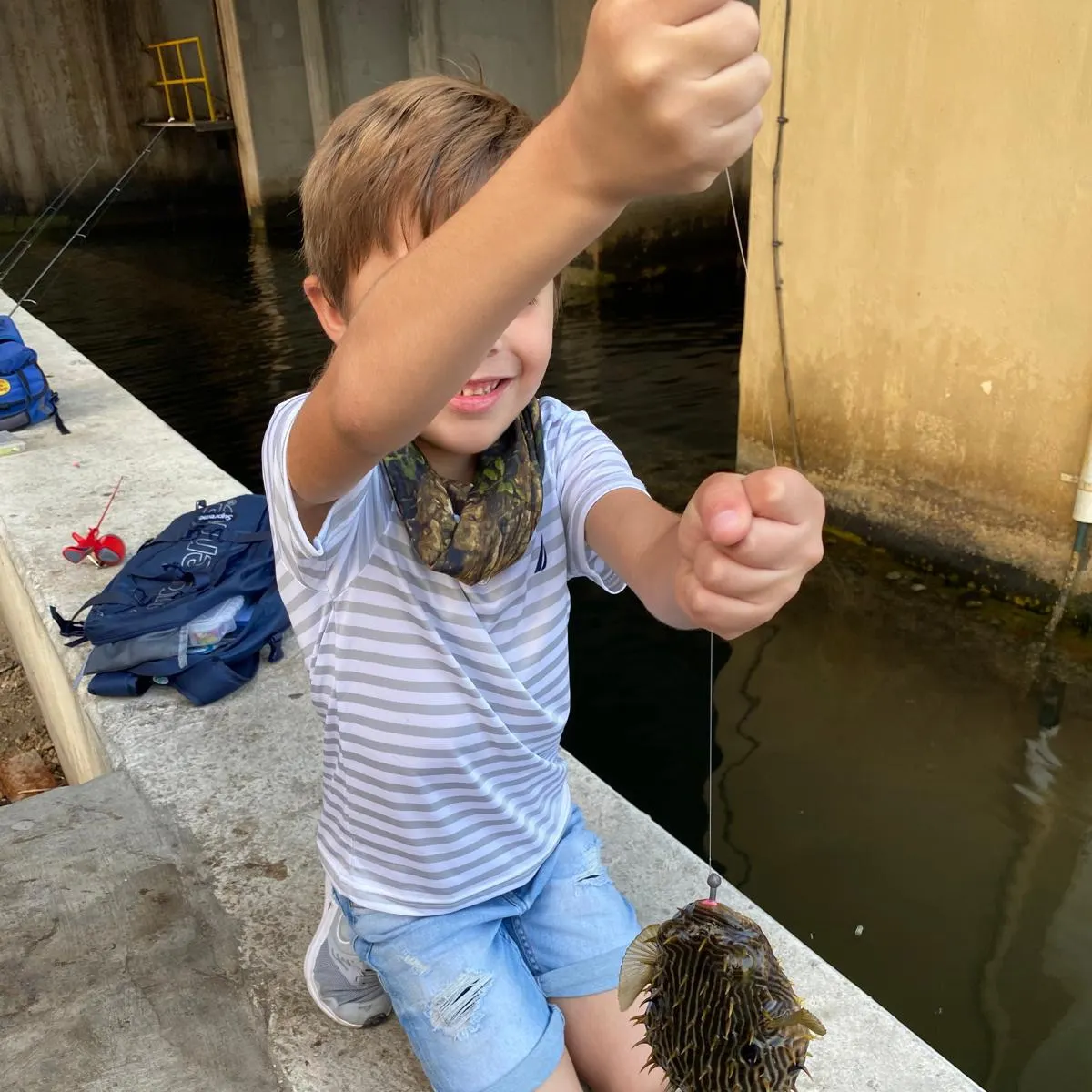 The most recent Three-barred porcupinefish catches on Fishbrain
