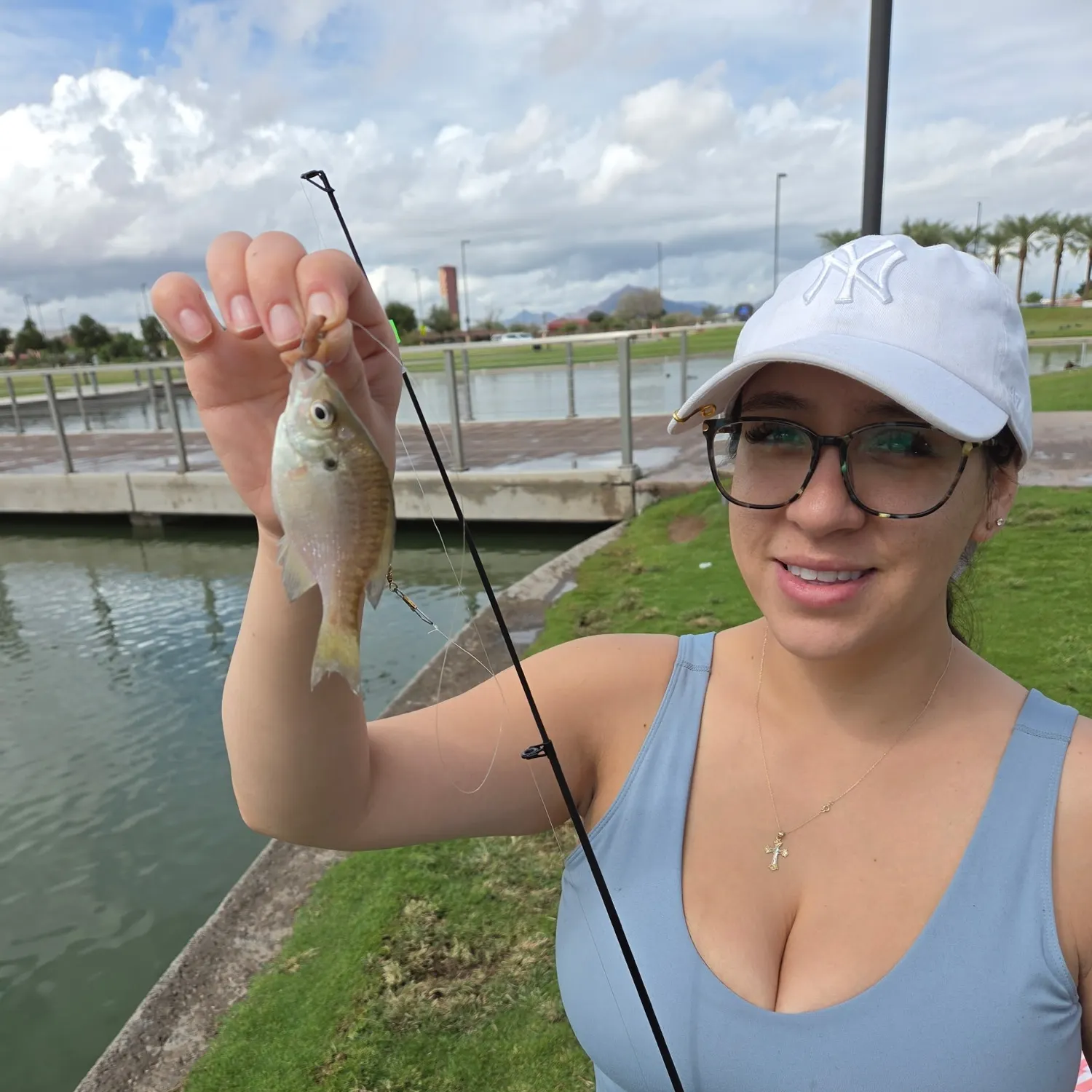 Bluegill caught on Fishbrain