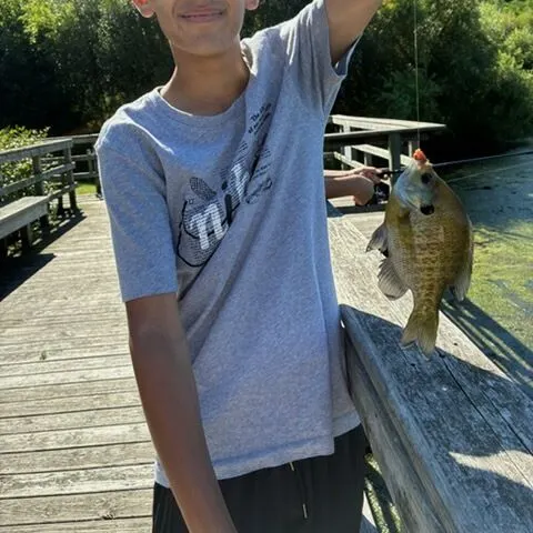Fish caught on Fishbrain