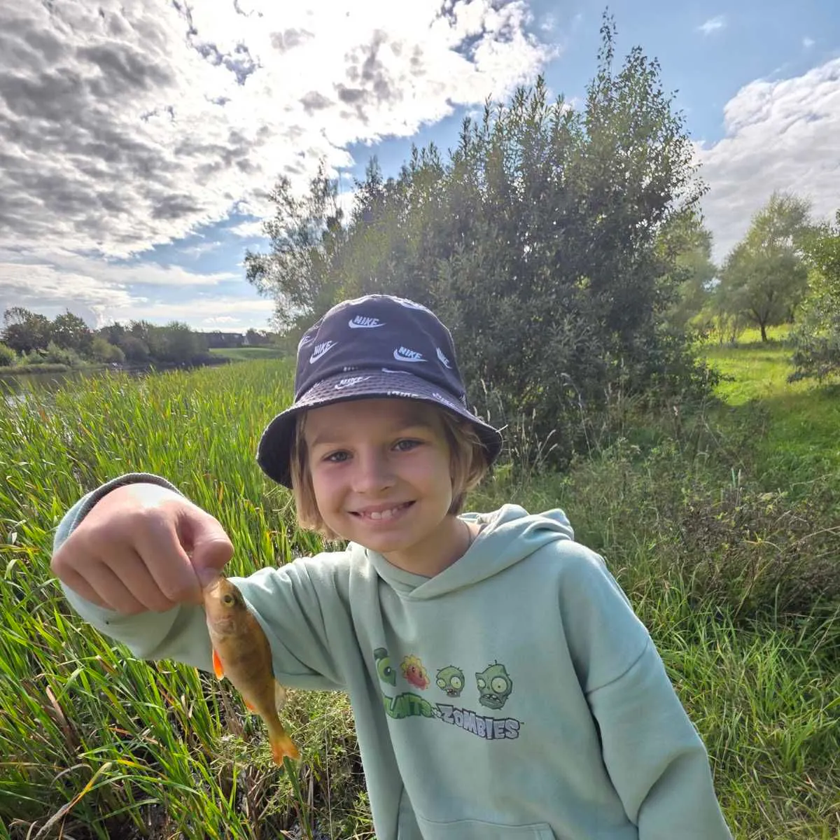European perch caught on Fishbrain
