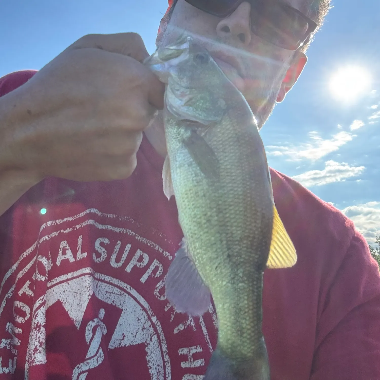 Largemouth bass caught on Fishbrain