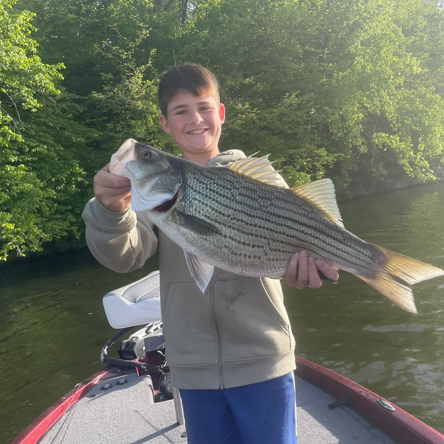 The most recent Hybrid striped bass catches on Fishbrain
