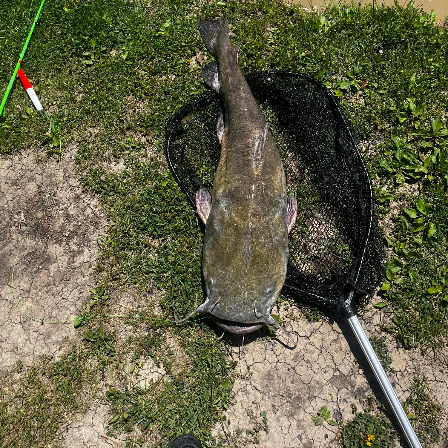angler catch
