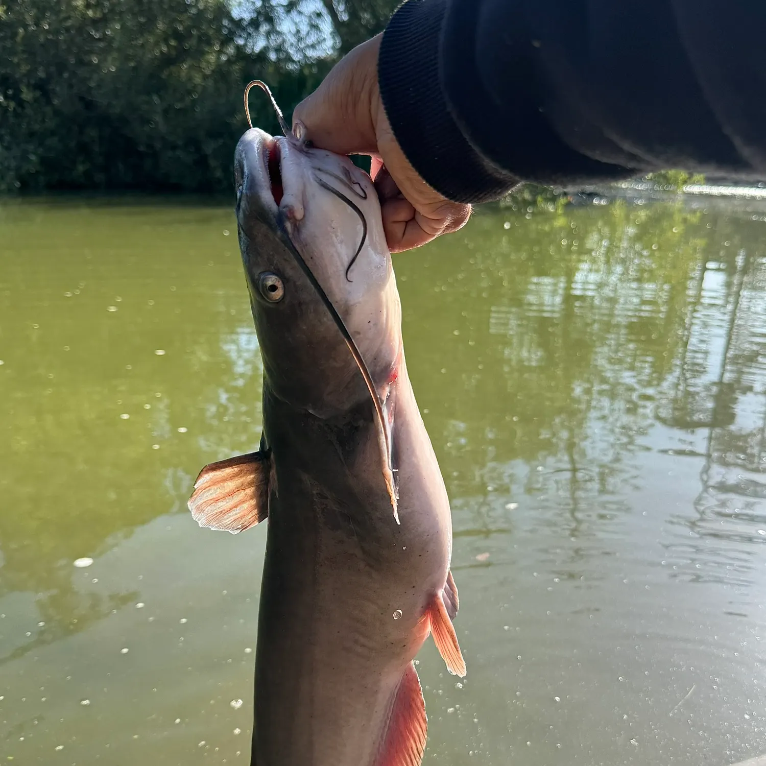 catch