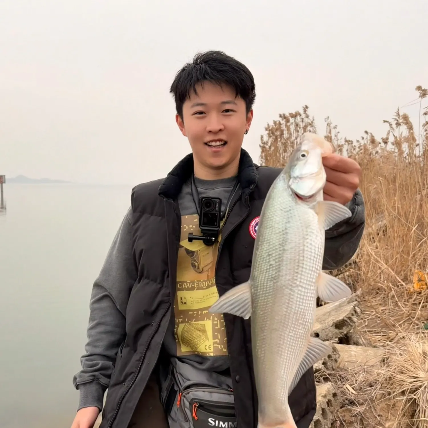 The most recent Predatory carp catches on Fishbrain