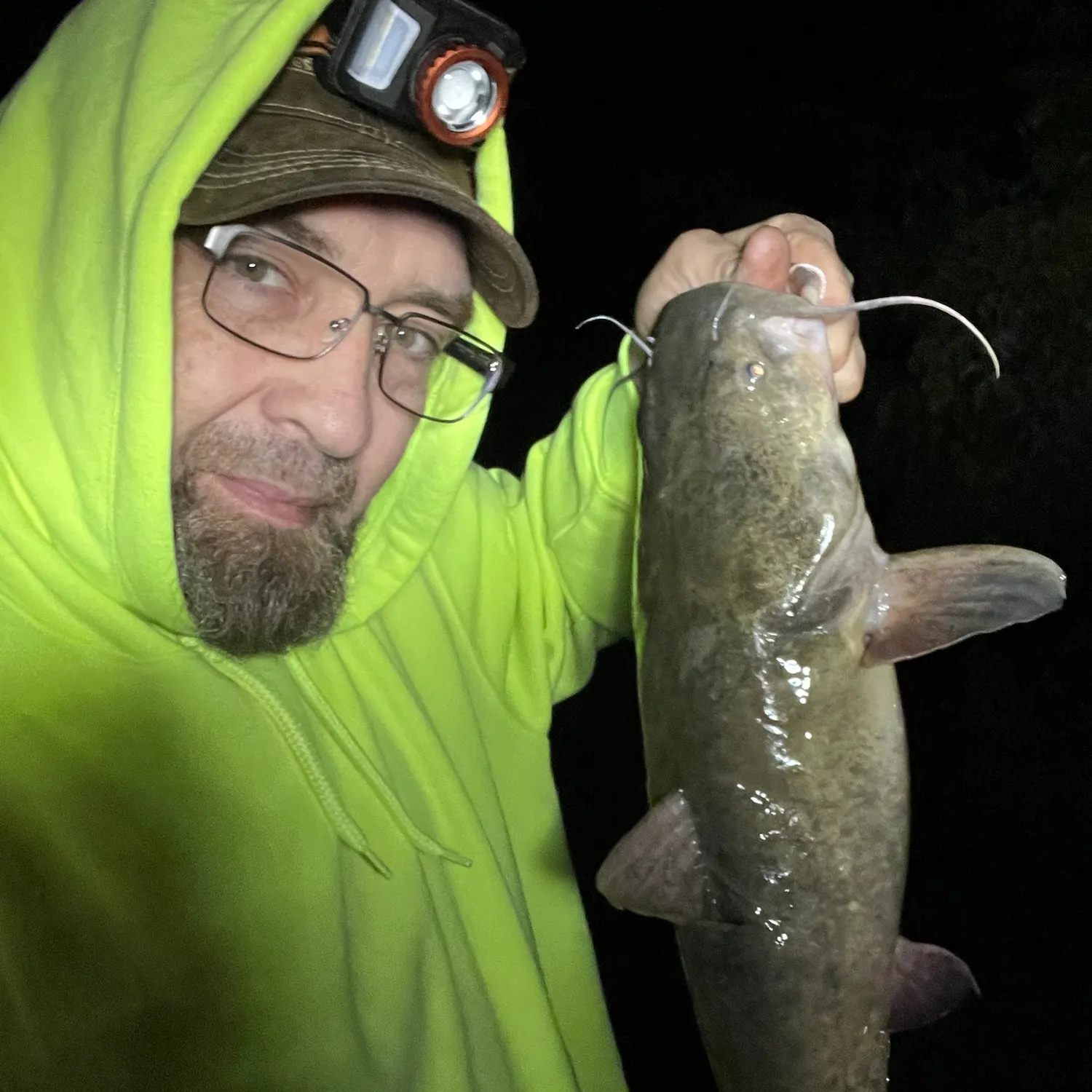 Flathead catfish caught on Fishbrain
