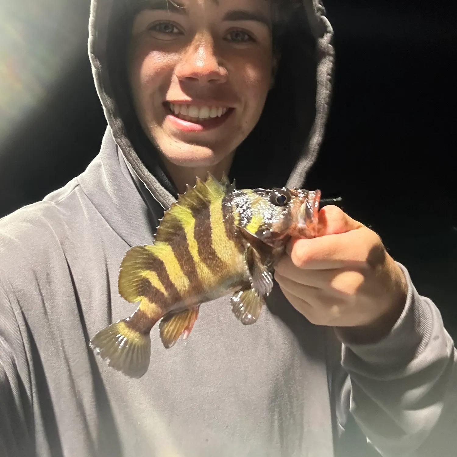 The most recent Treefish catches on Fishbrain