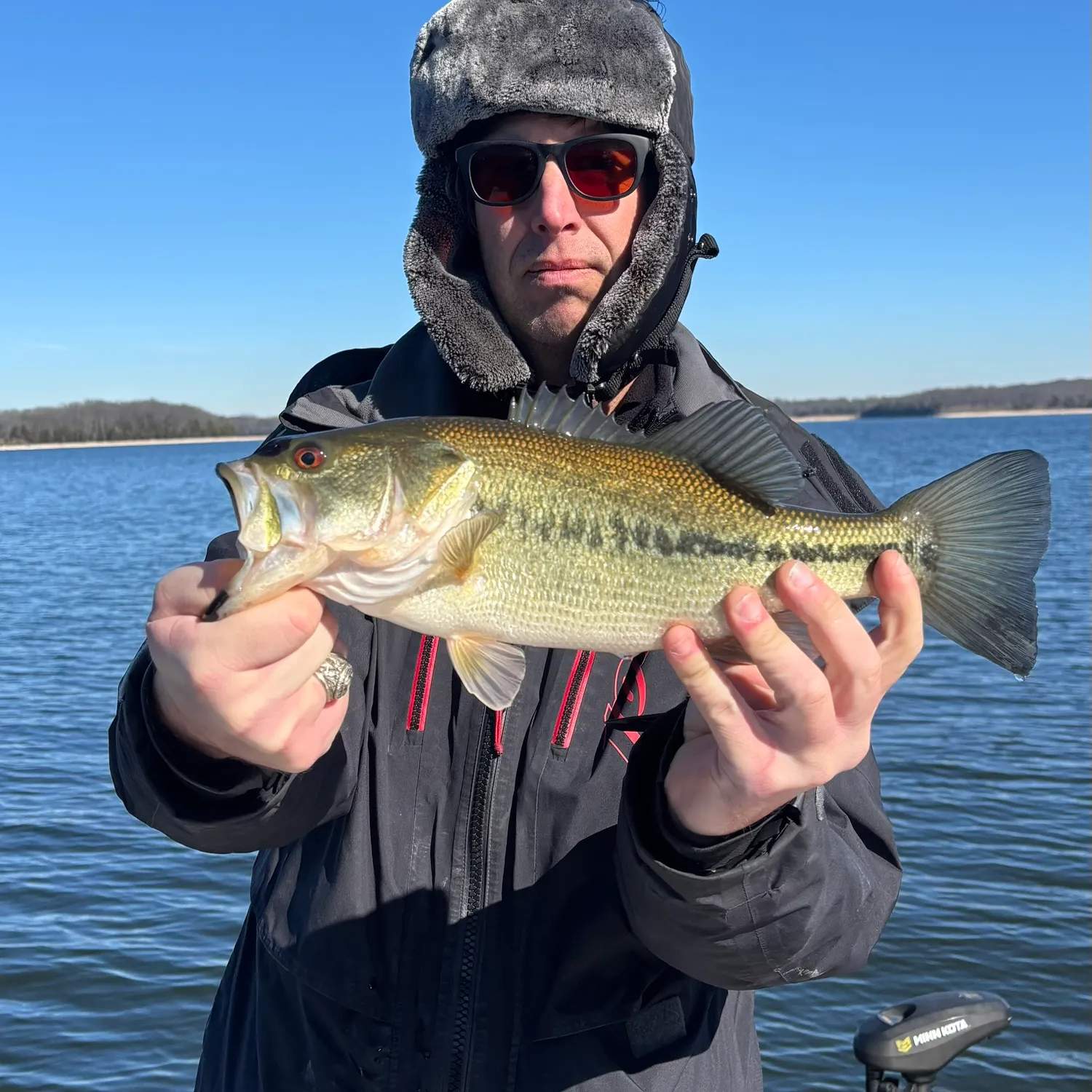 The most recent Largemouth bass catches on Fishbrain