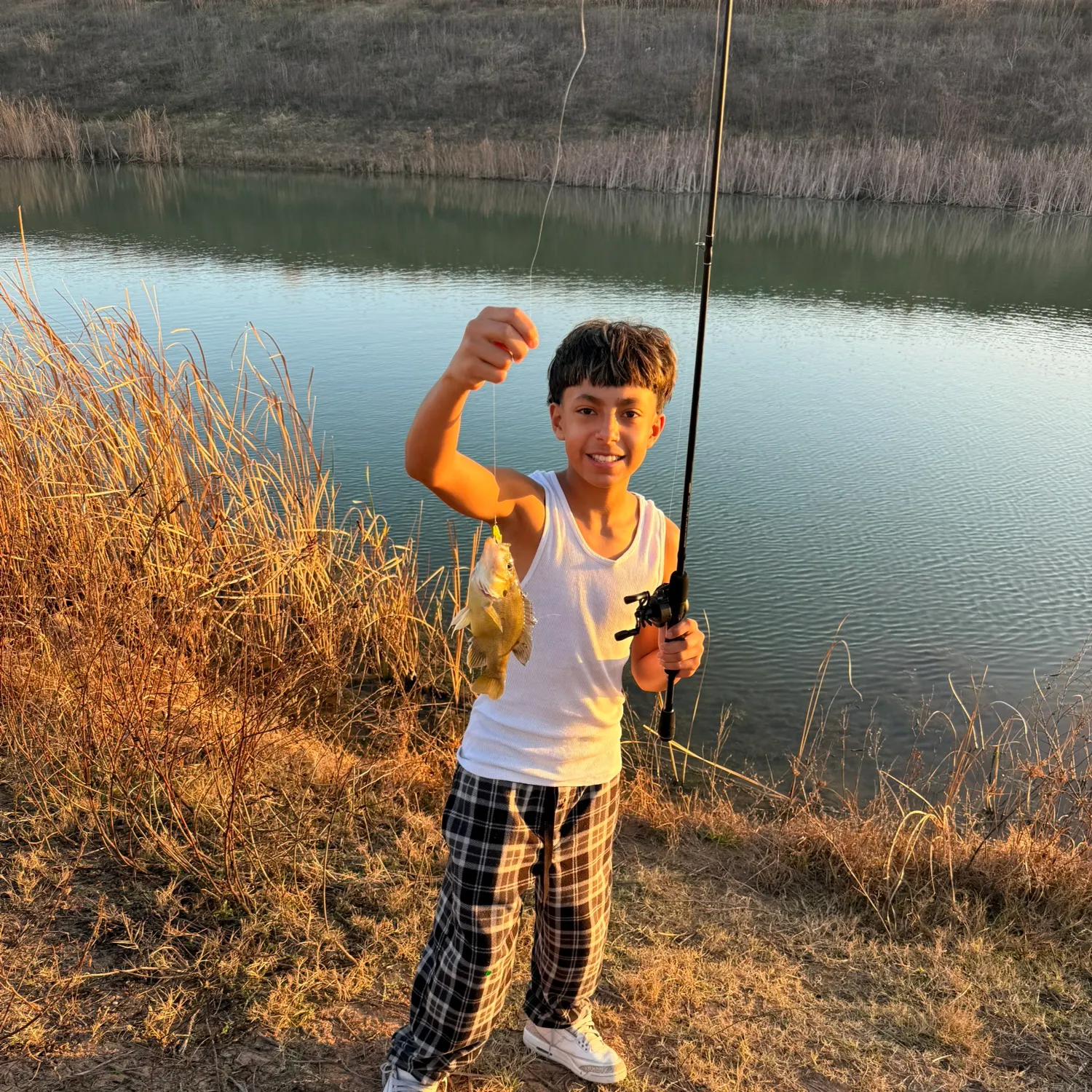 The most recent Bluegill catches on Fishbrain