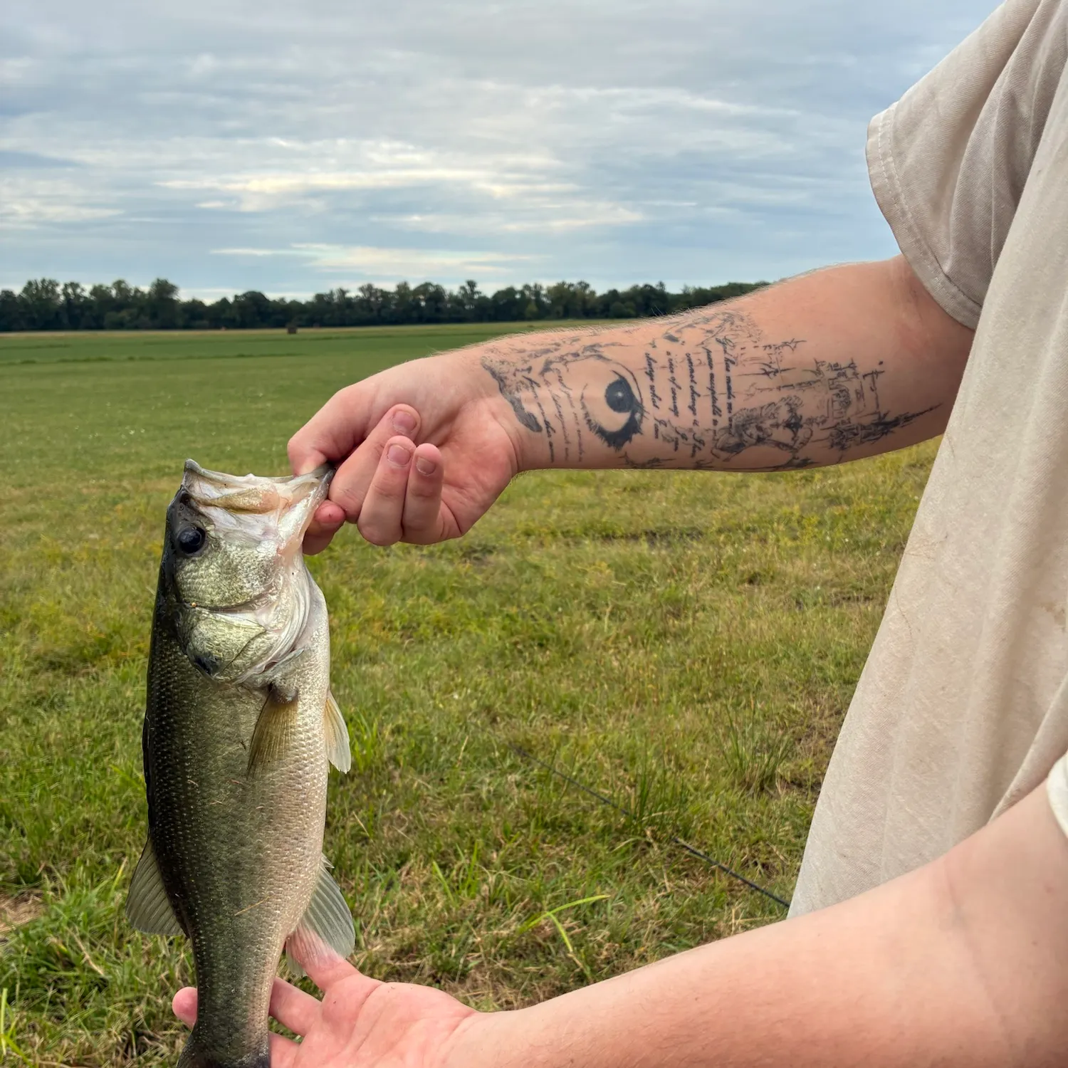 Largemouth bass caught on Fishbrain