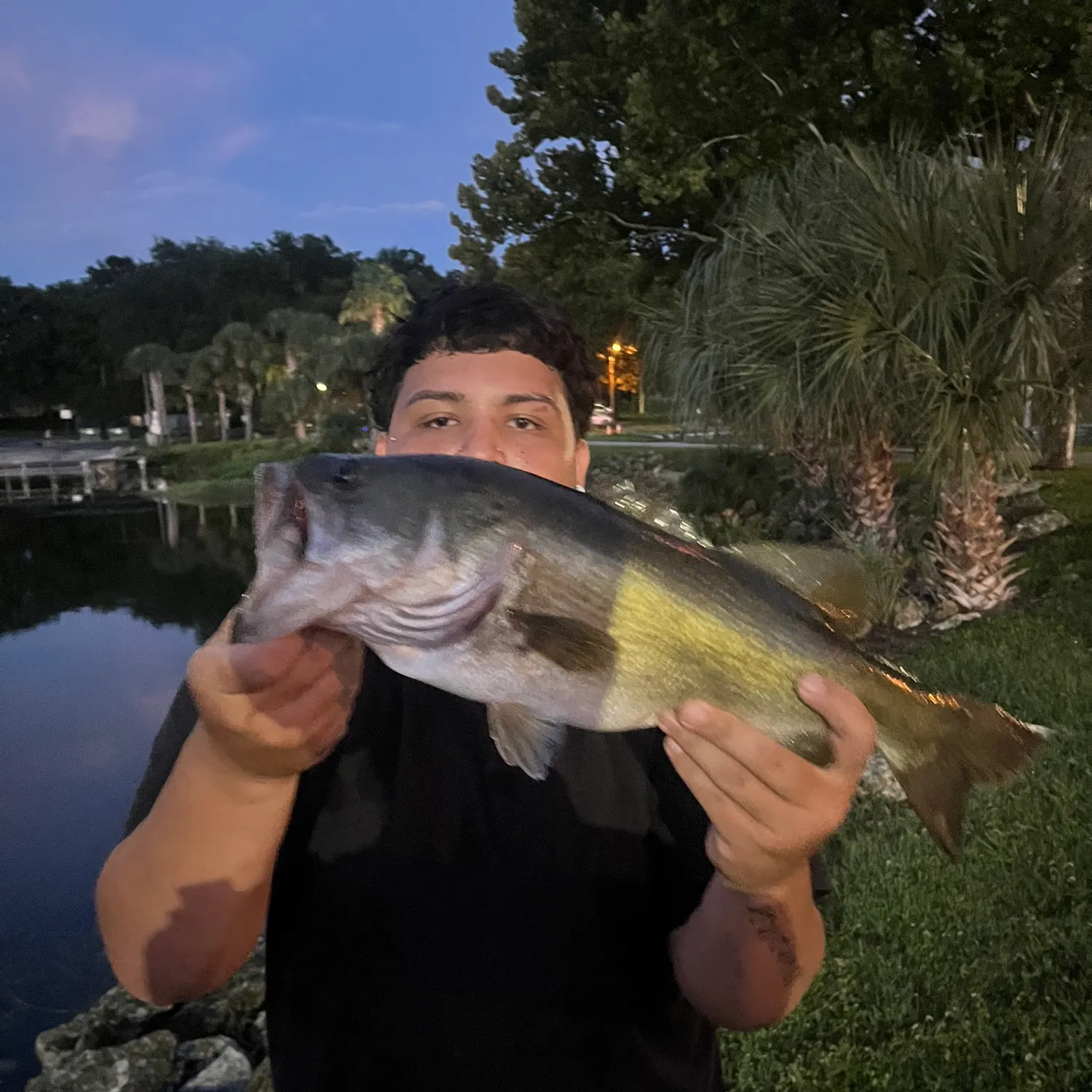 Largemouth bass caught on Fishbrain