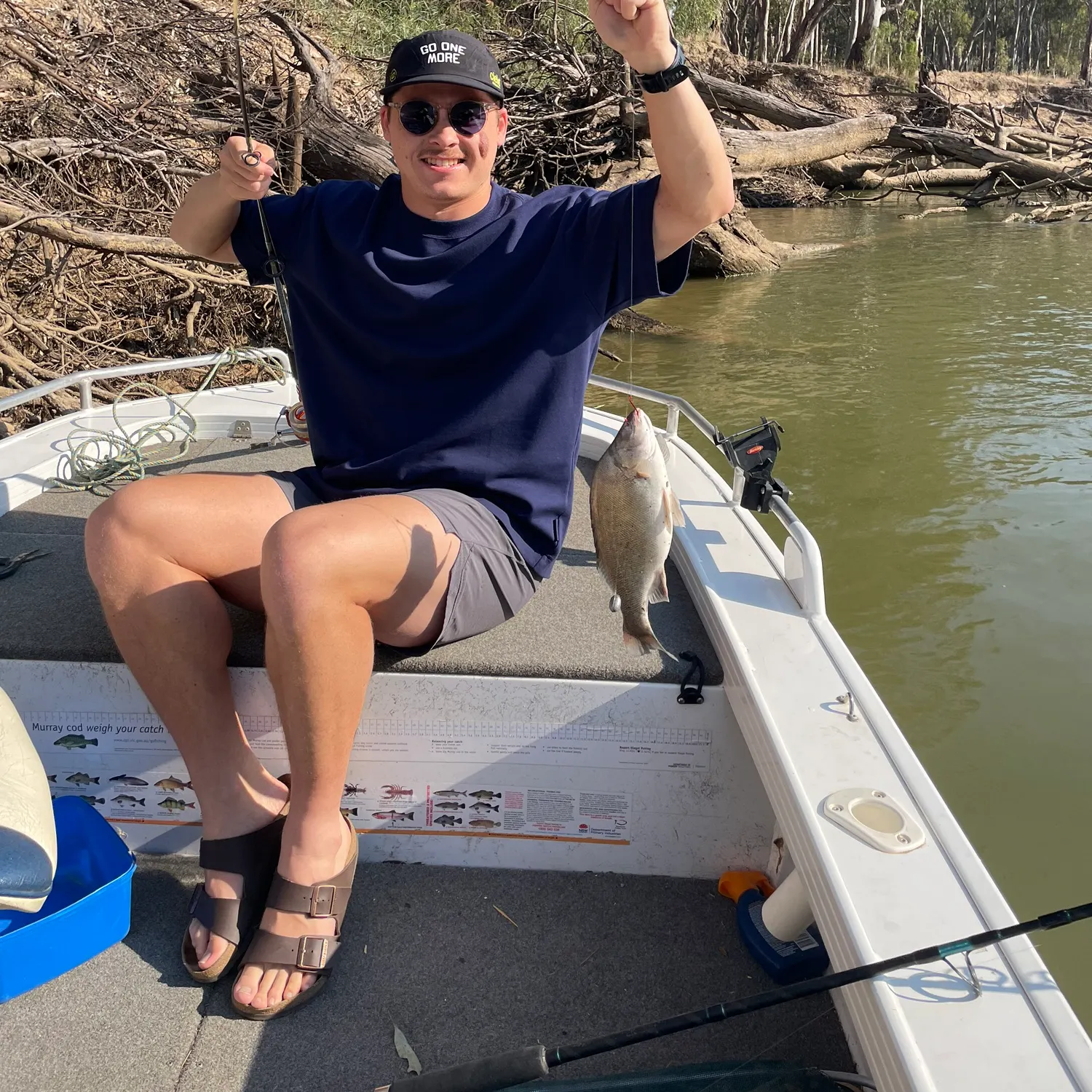 The most recent Bidyan perch catches on Fishbrain