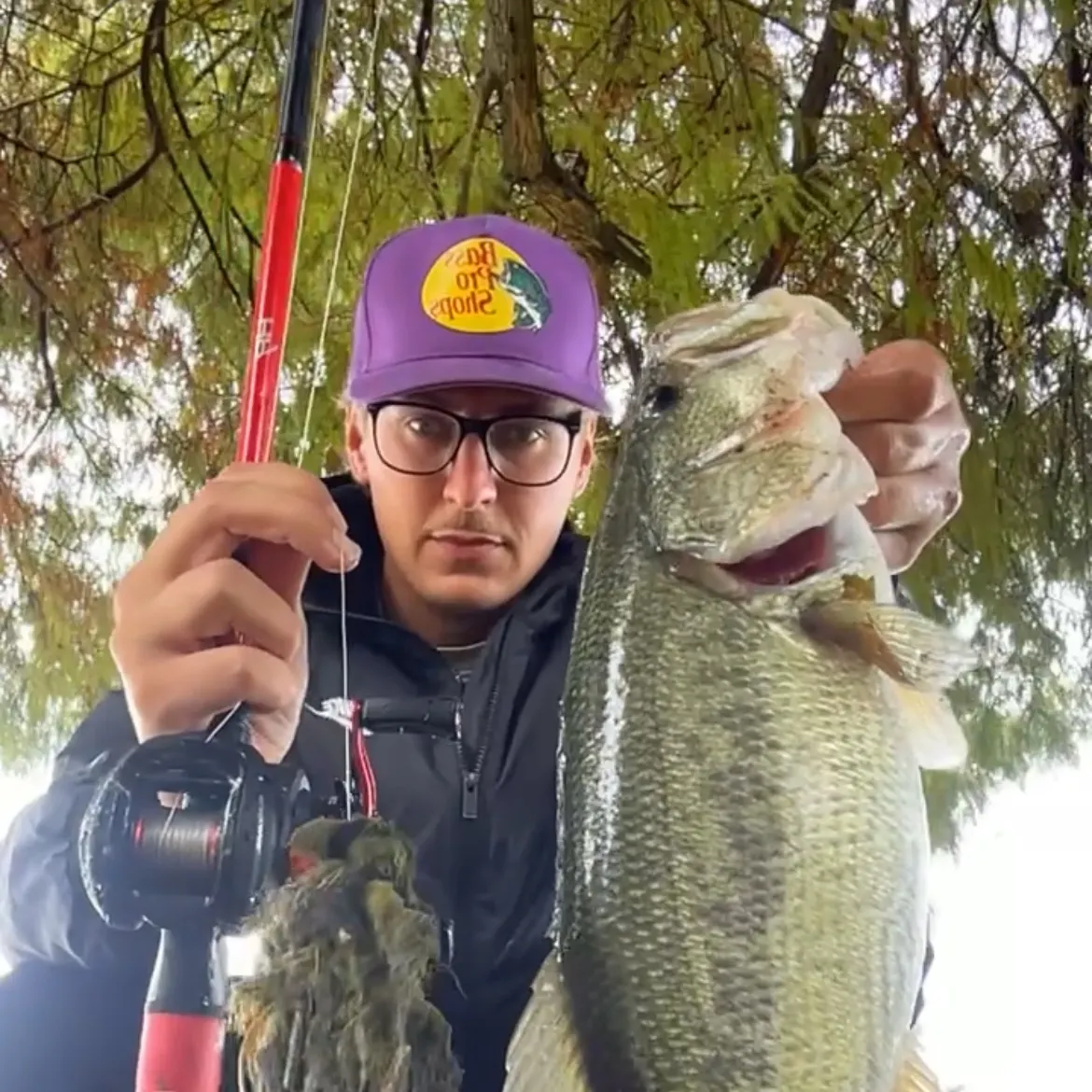 Largemouth bass caught on Fishbrain