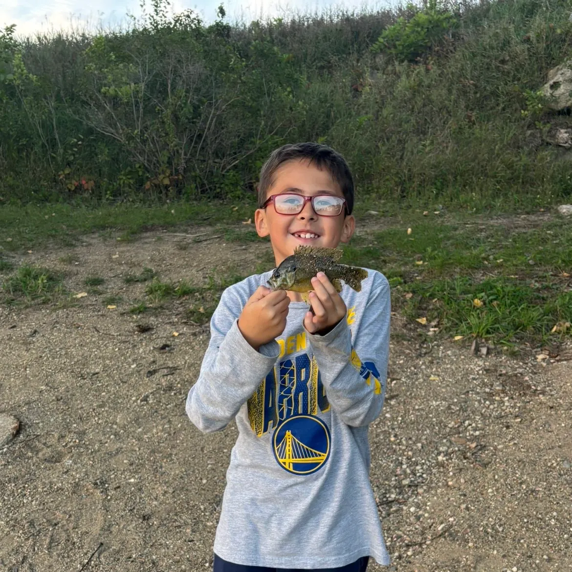 Green sunfish caught on Fishbrain