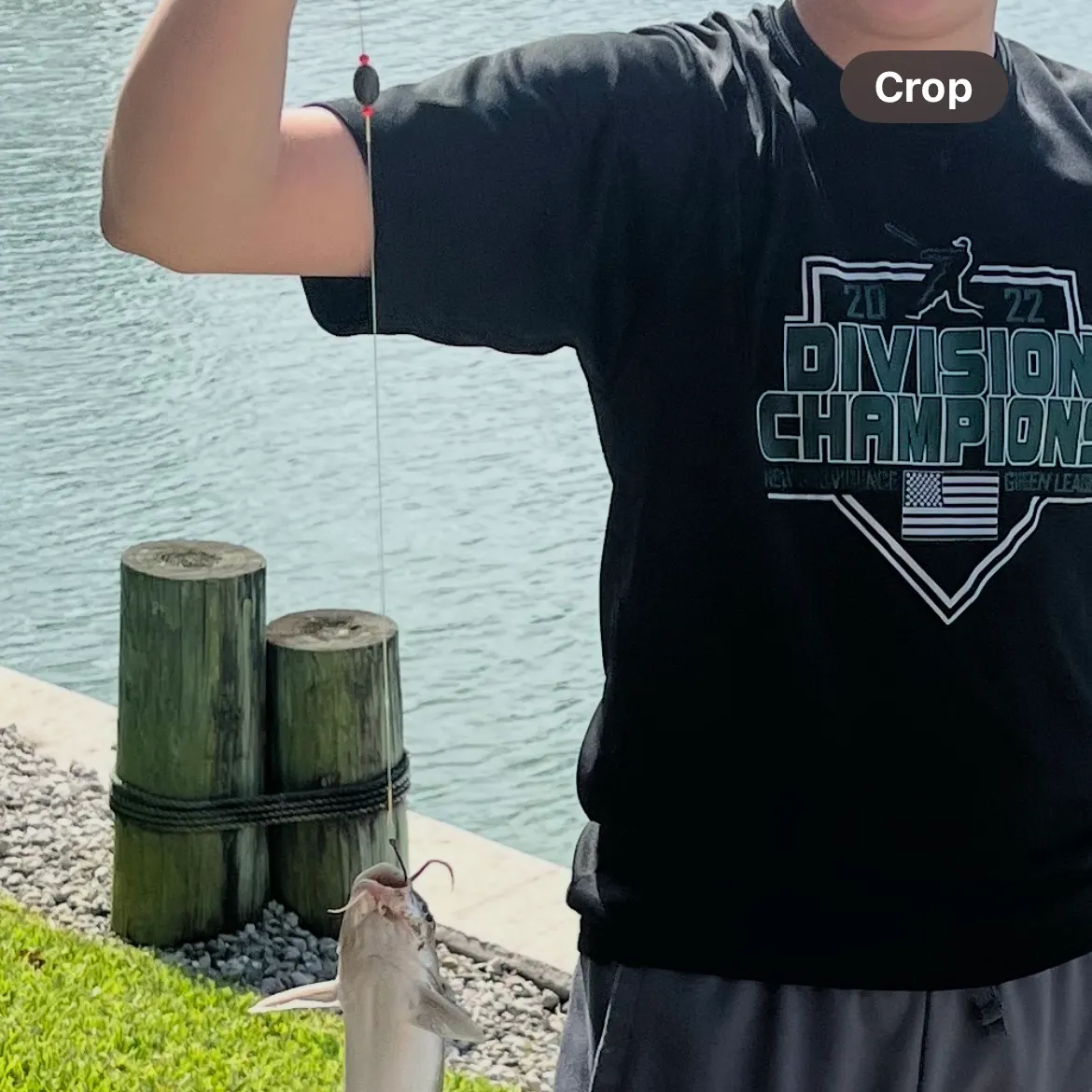 The most recent Spotted sea catfish catches on Fishbrain