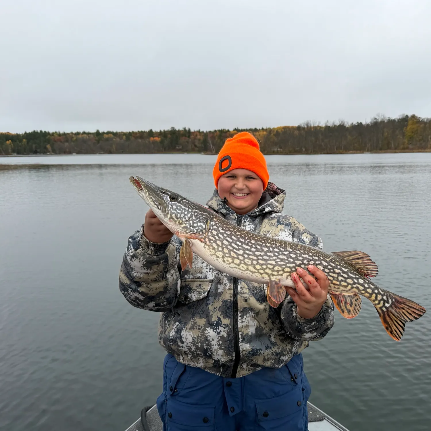 Northern pike caught on Fishbrain