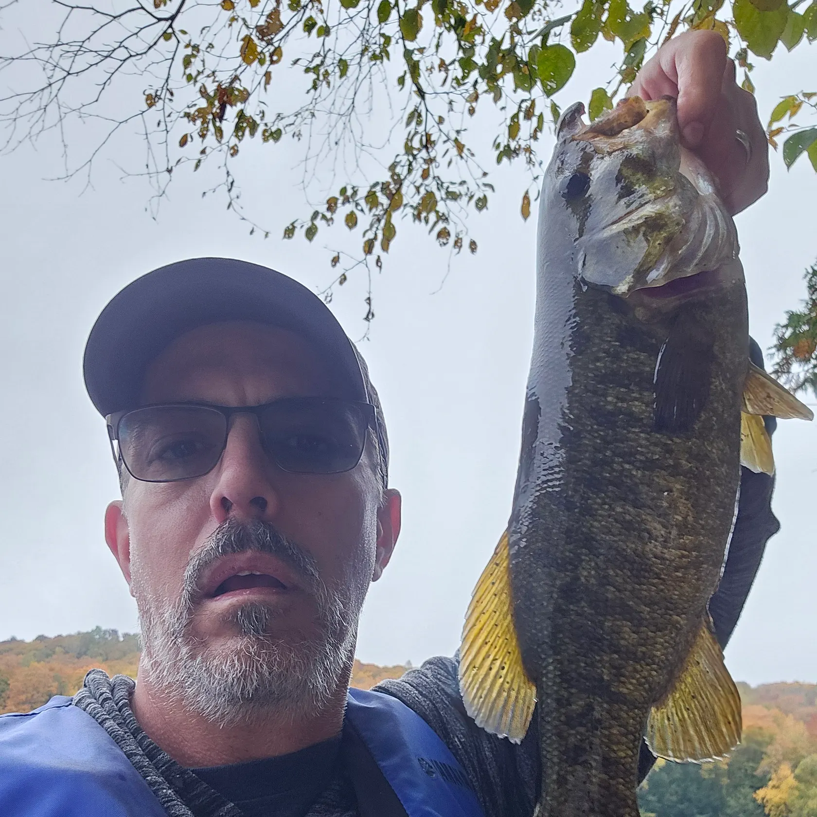 Smallmouth bass caught on Fishbrain