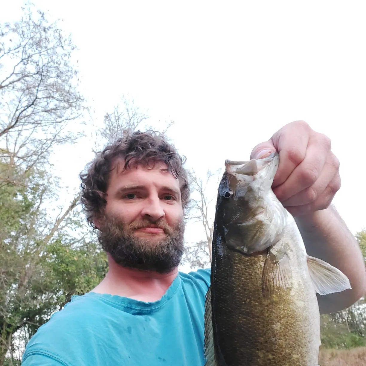 Smallmouth bass caught on Fishbrain