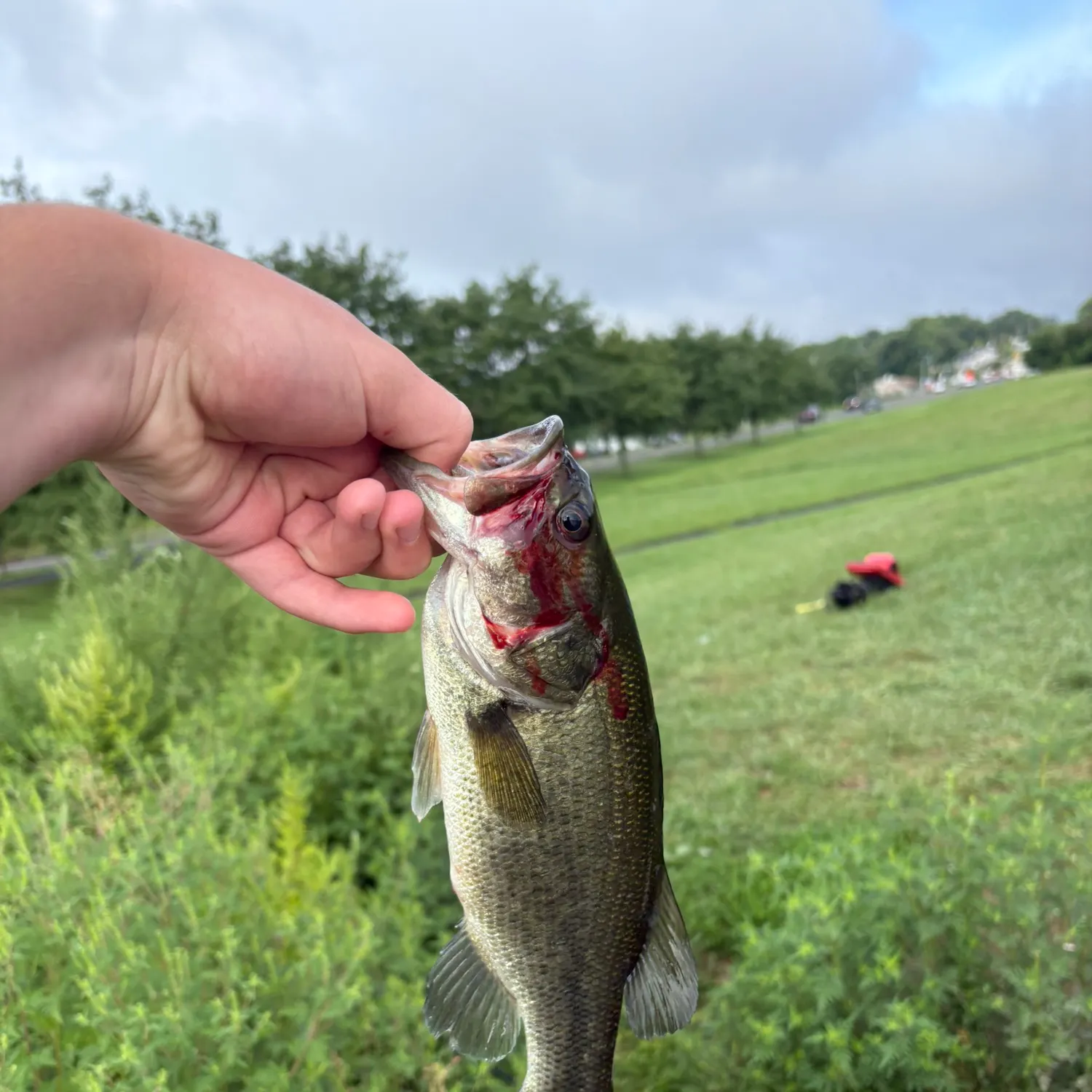 catch