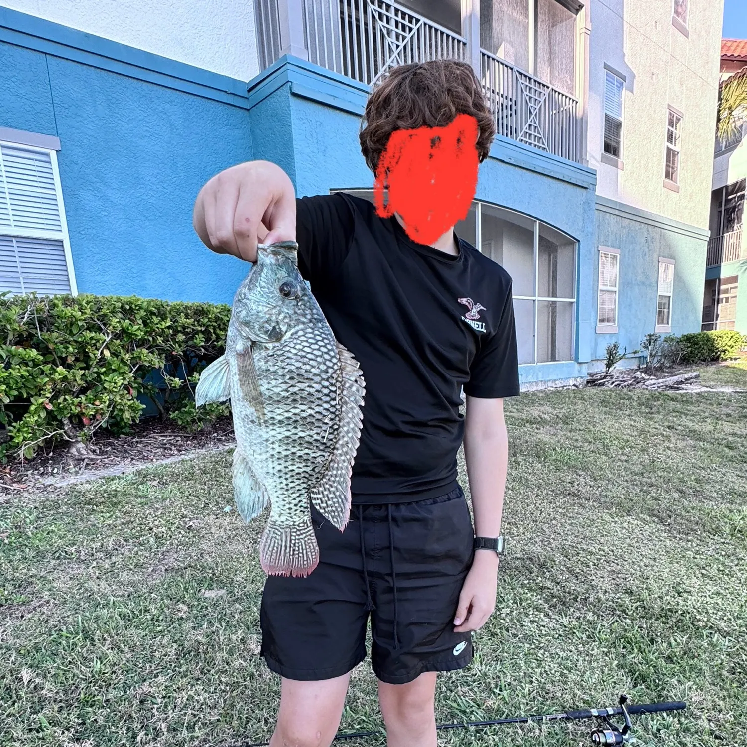 Nile tilapia caught on Fishbrain