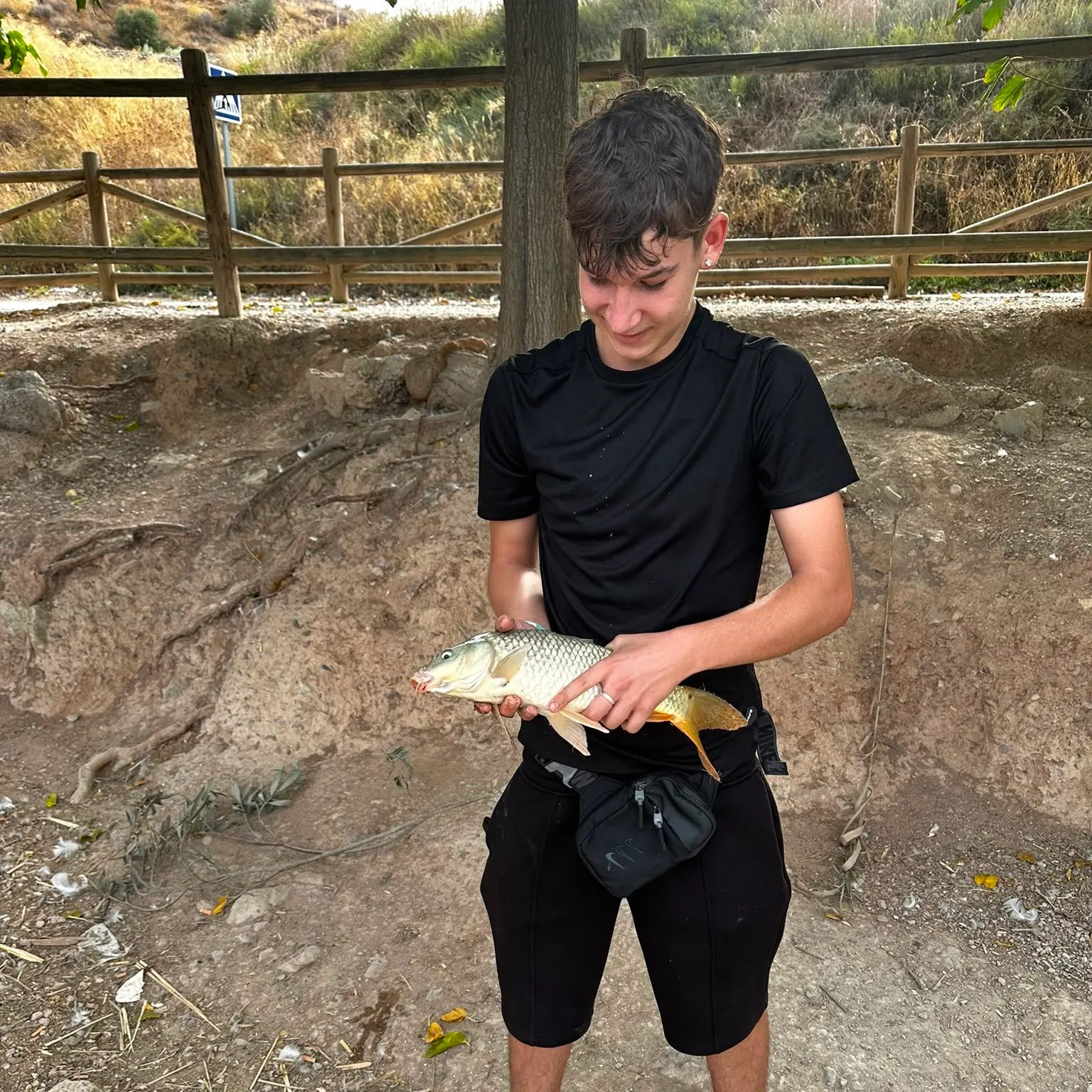 Common carp caught on Fishbrain