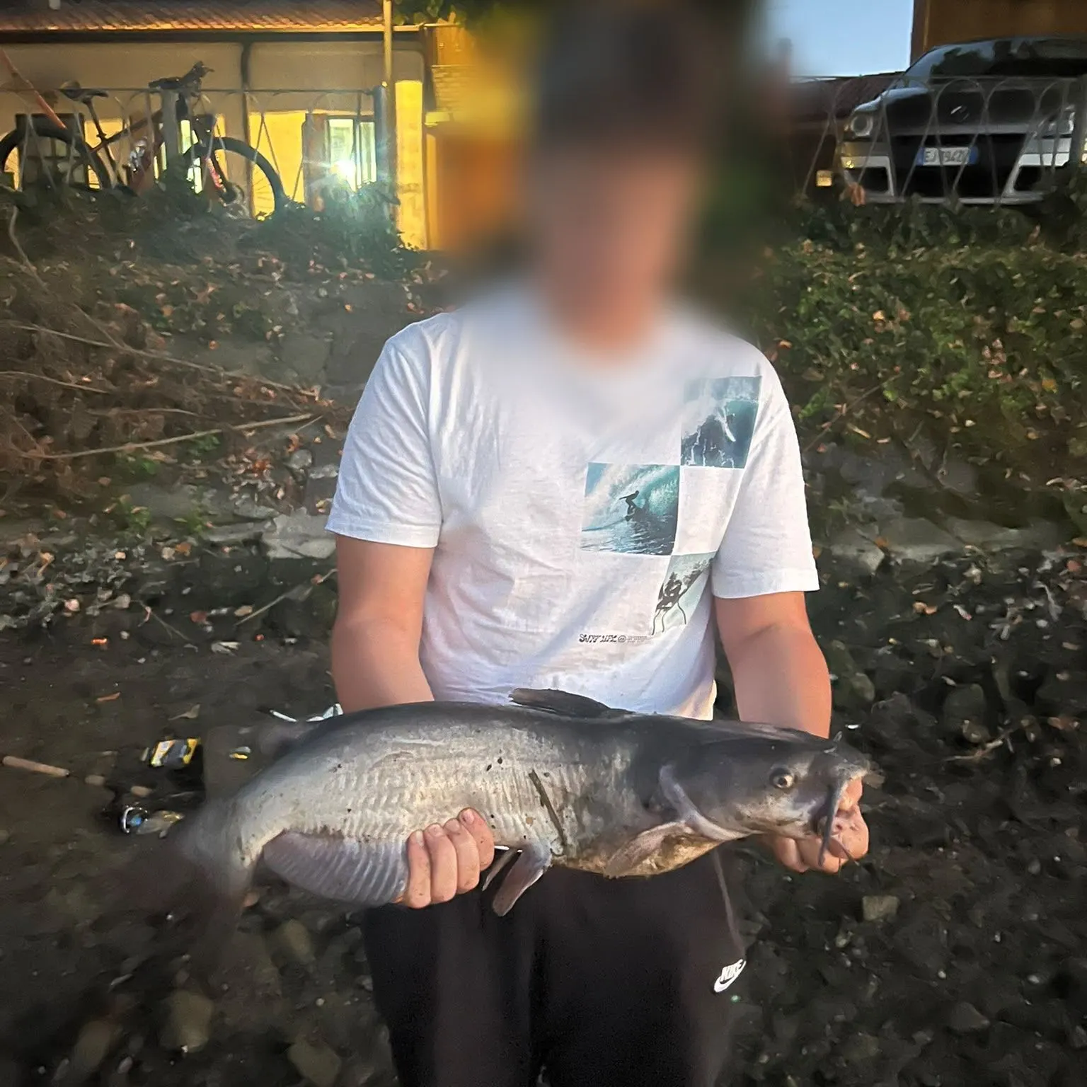 Channel catfish caught on Fishbrain