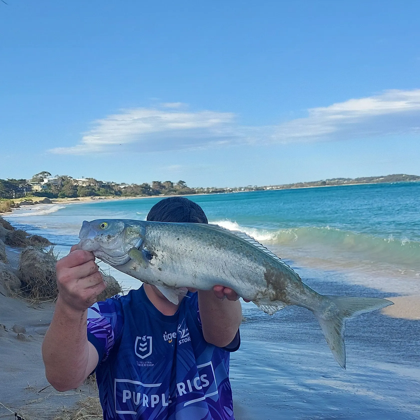 The most recent Eastern Australian salmon catches on Fishbrain