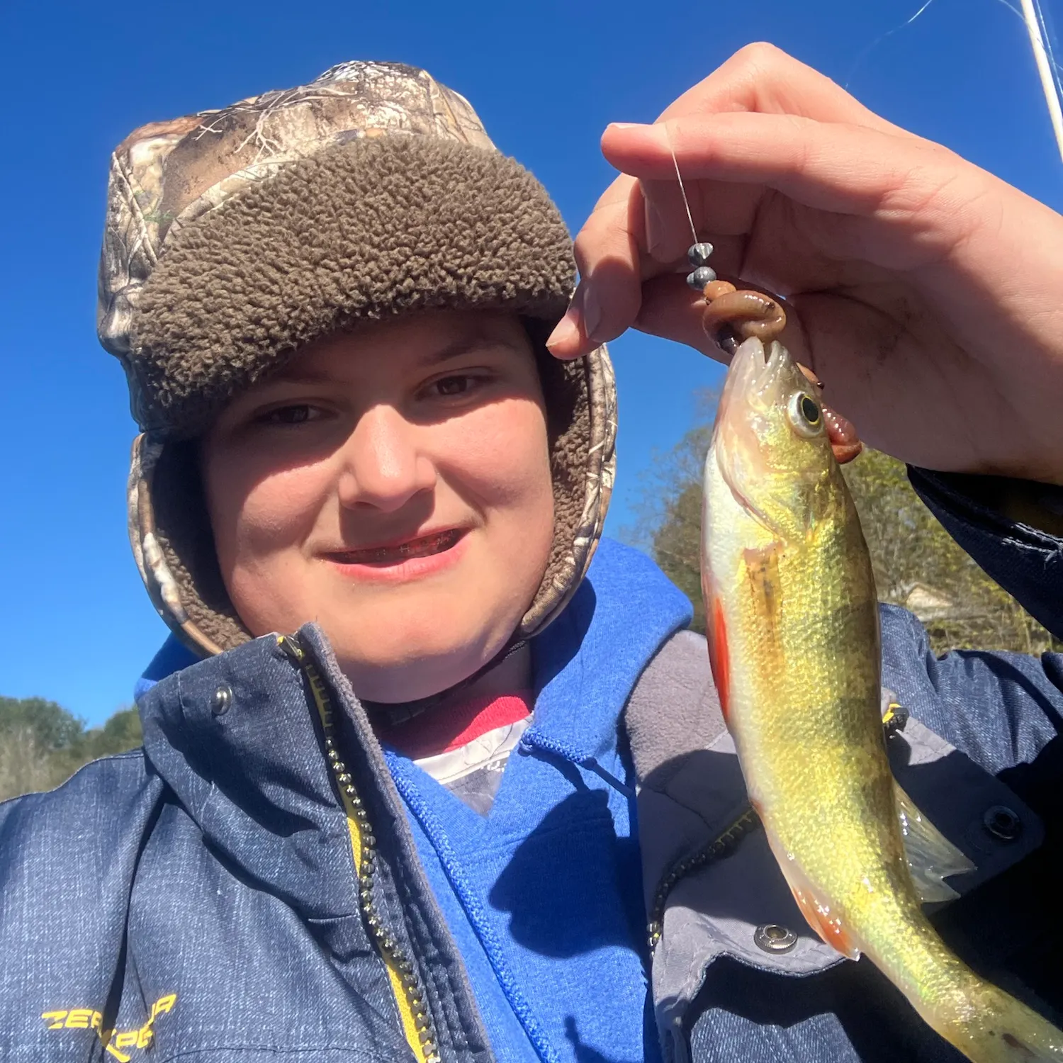 Yellow perch caught on Fishbrain
