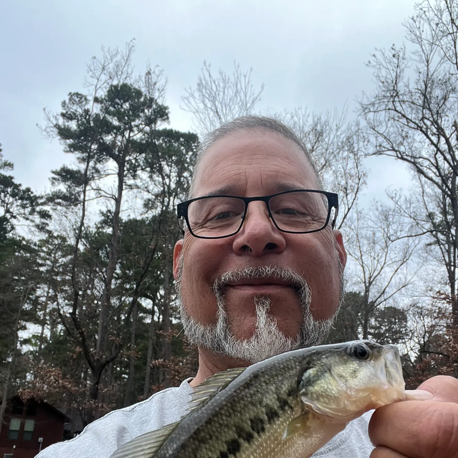 The most recent Spotted bass catches on Fishbrain