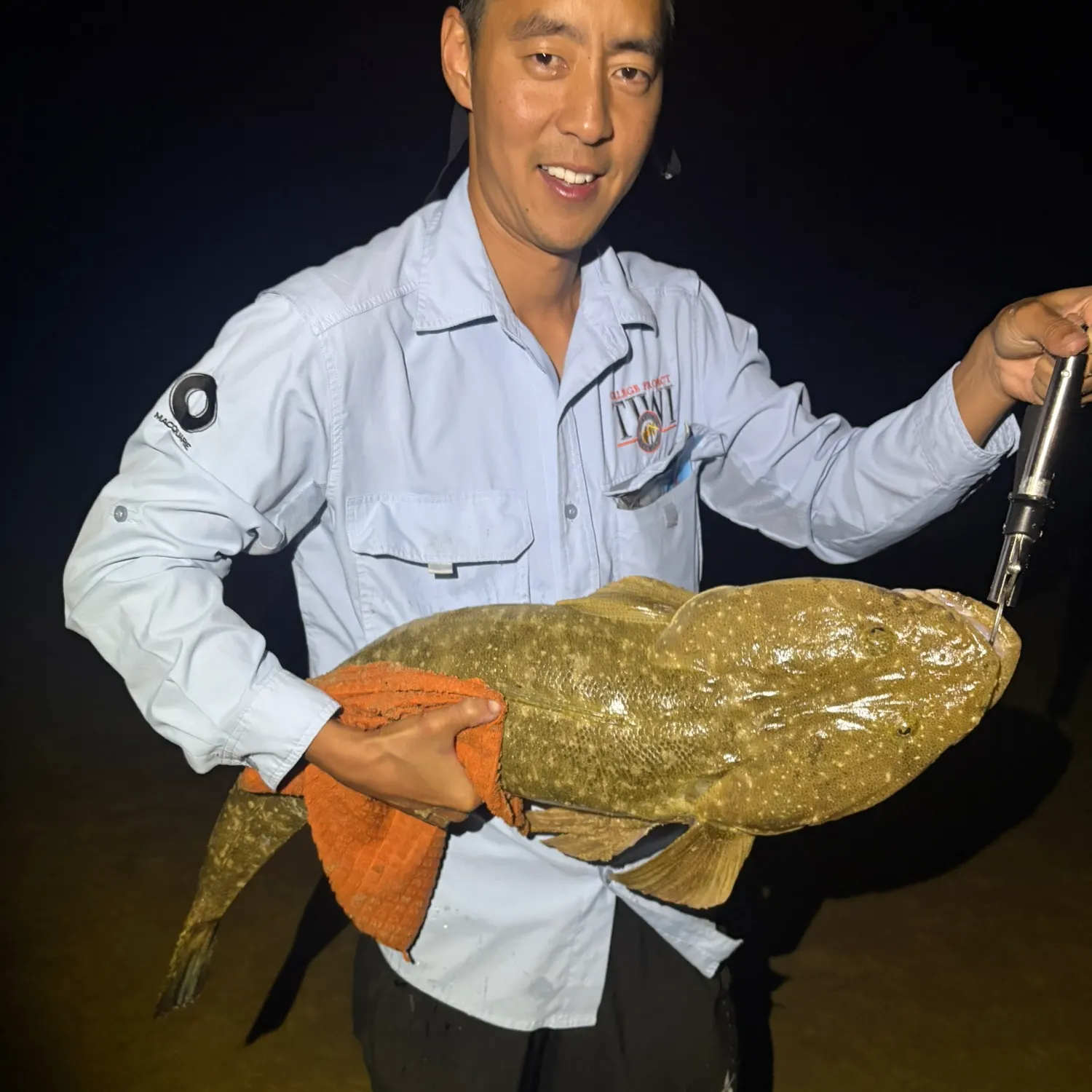 The most recent Dusky flathead catches on Fishbrain