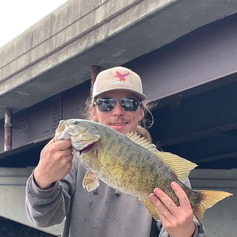 angler catch