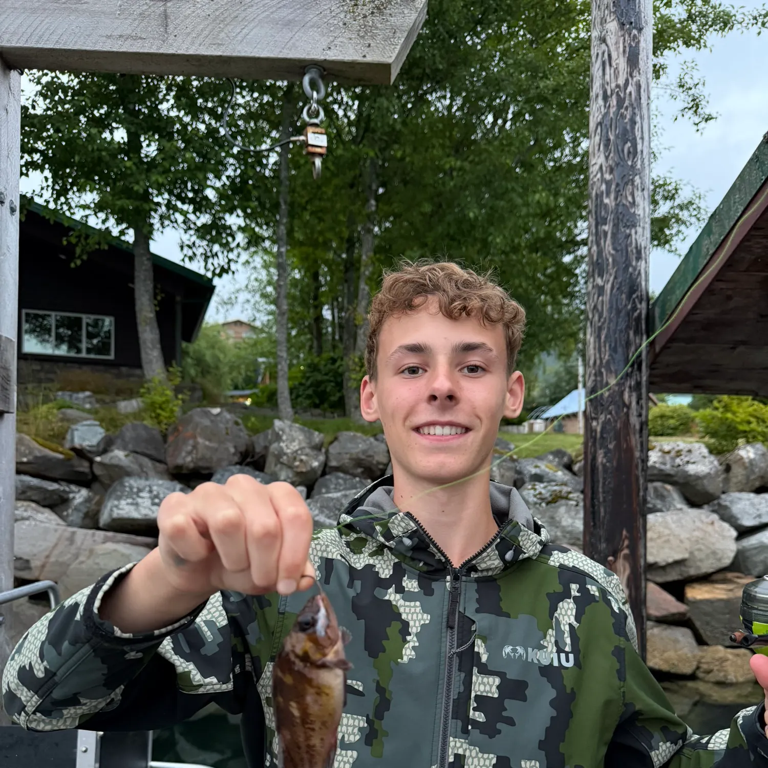 The most recent Stripetail rockfish catches on Fishbrain