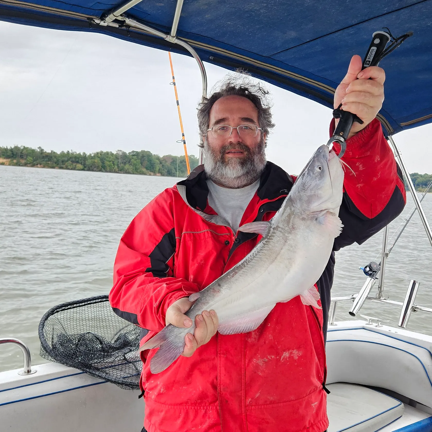 Blue catfish caught on Fishbrain