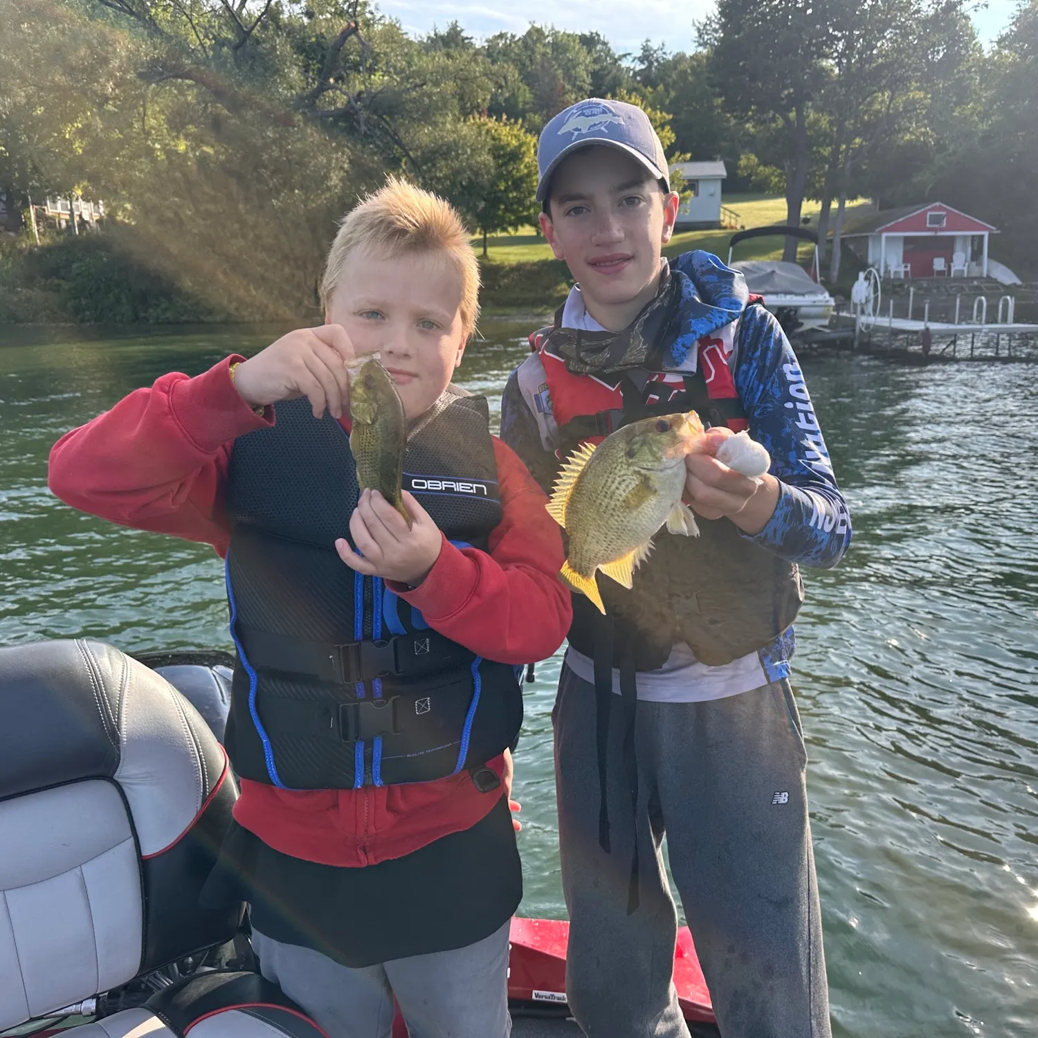 Rock bass caught on Fishbrain