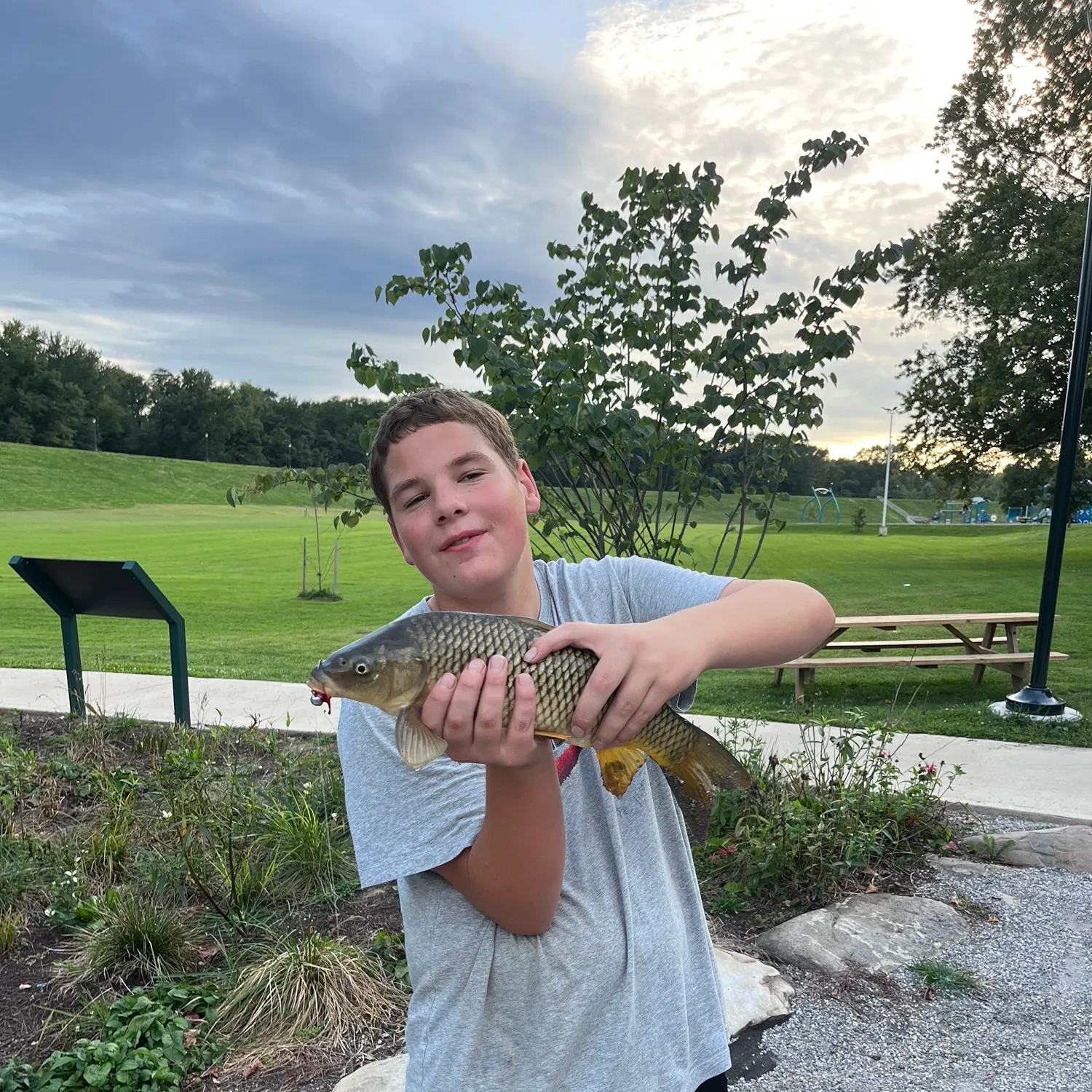Common carp caught on Fishbrain