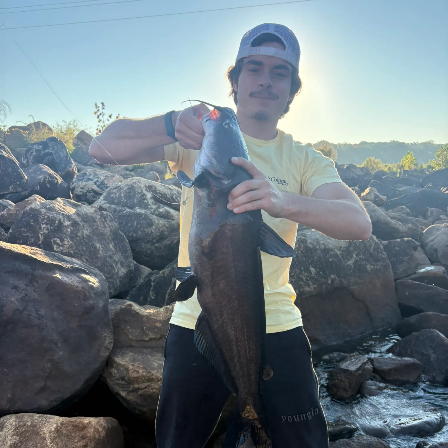 Blue catfish caught on Fishbrain