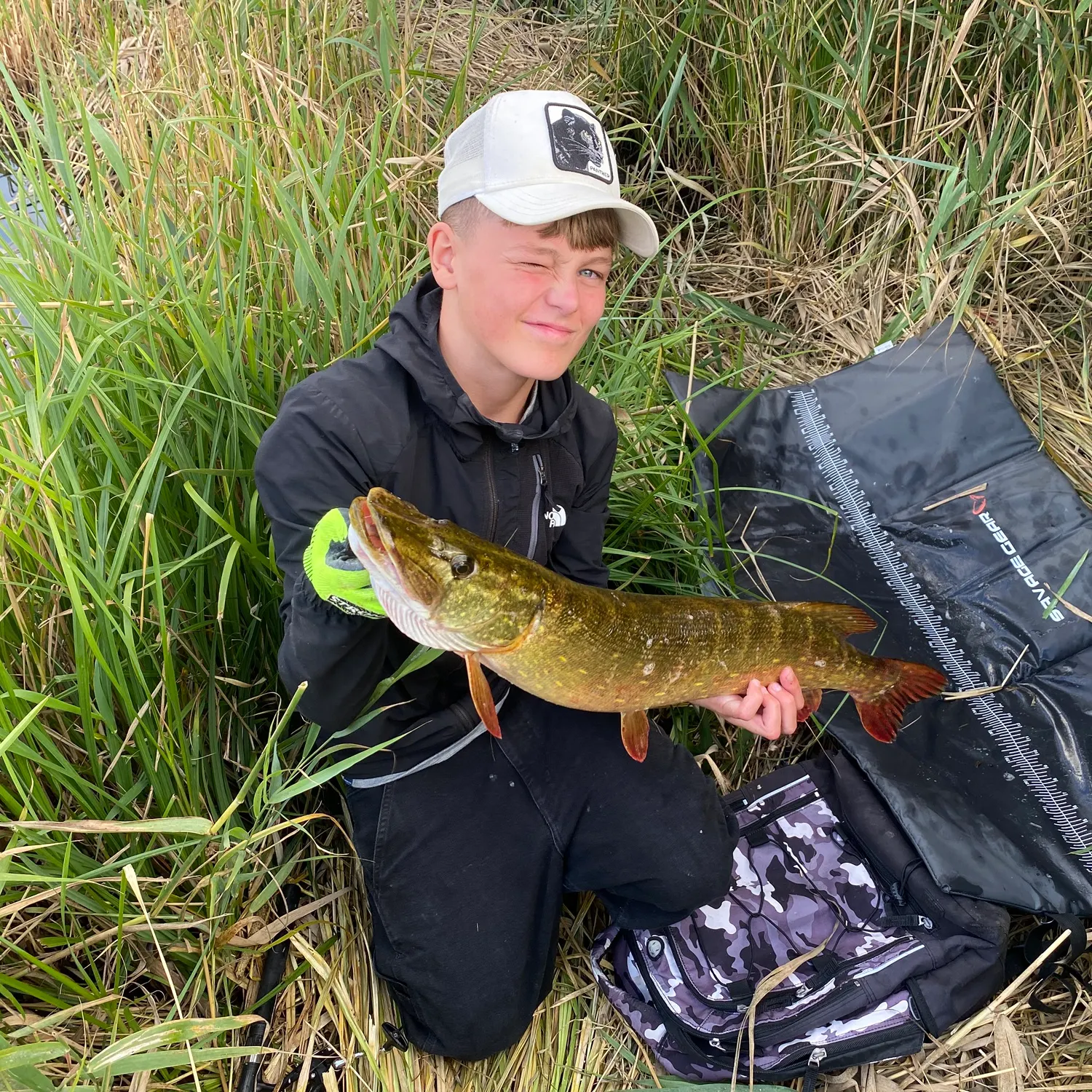 Northern pike caught on Fishbrain